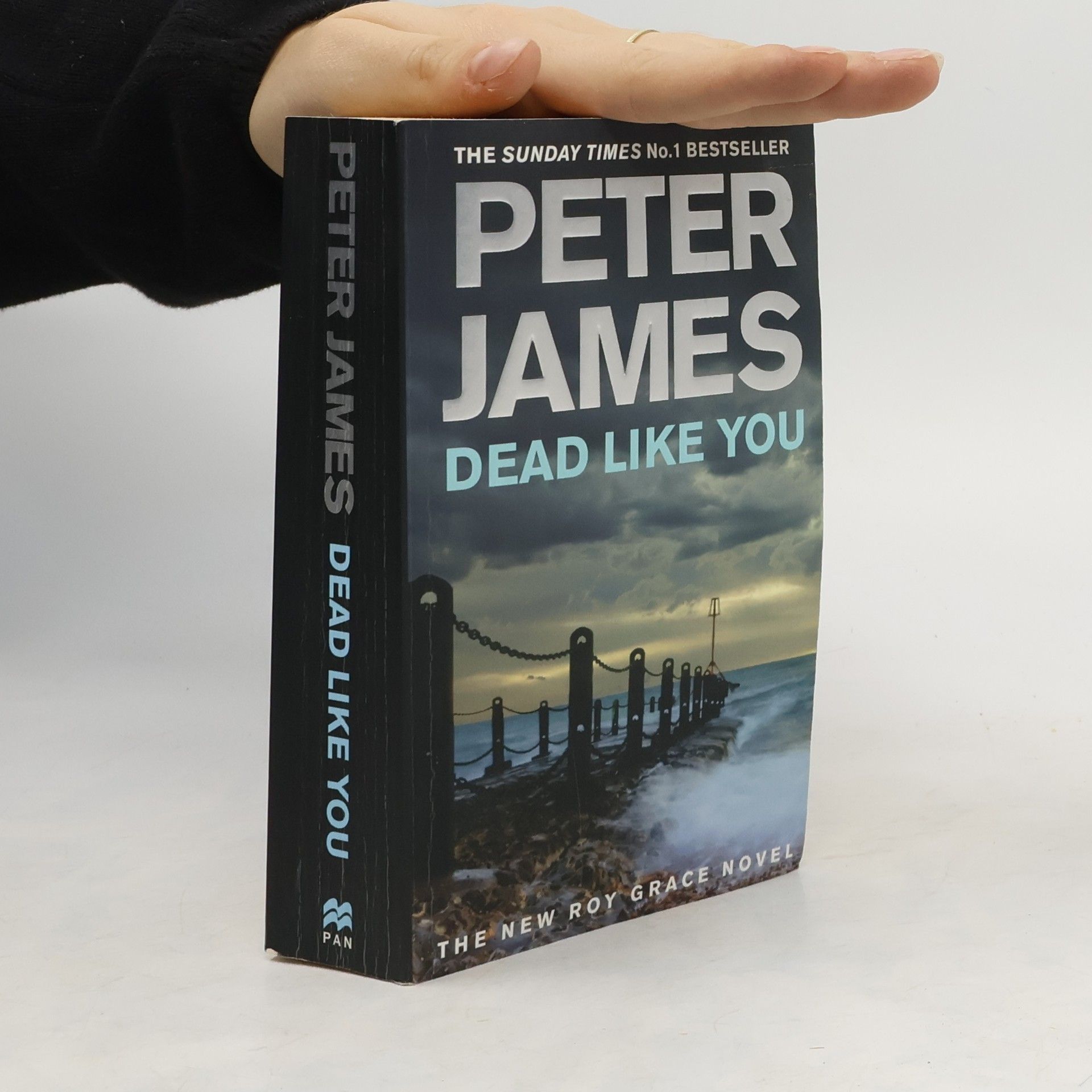 Peter James Dead Like You