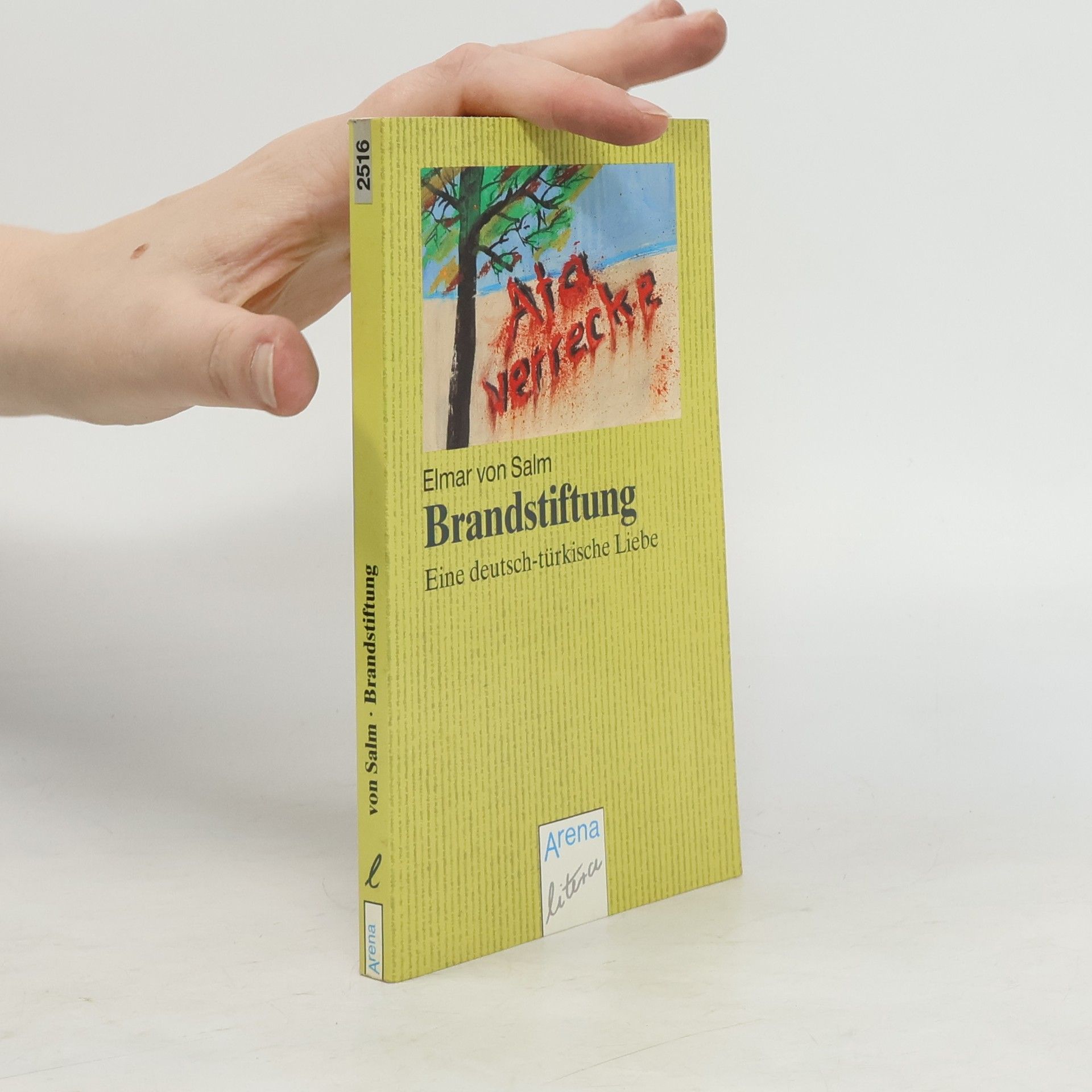 Elmar von Salm Brandstiftung