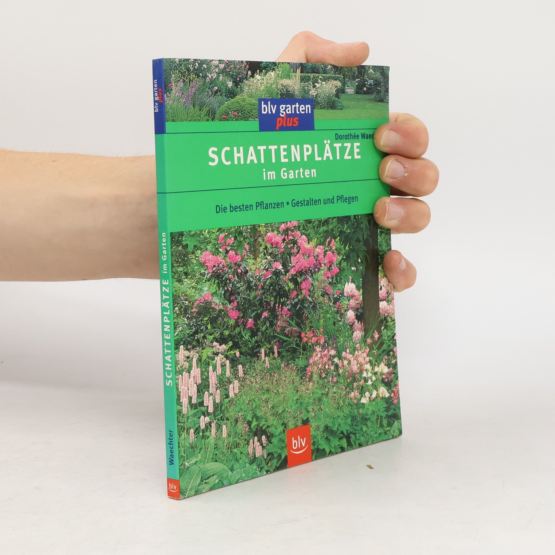 Dorothée Waechter Schattenplätze im Garten