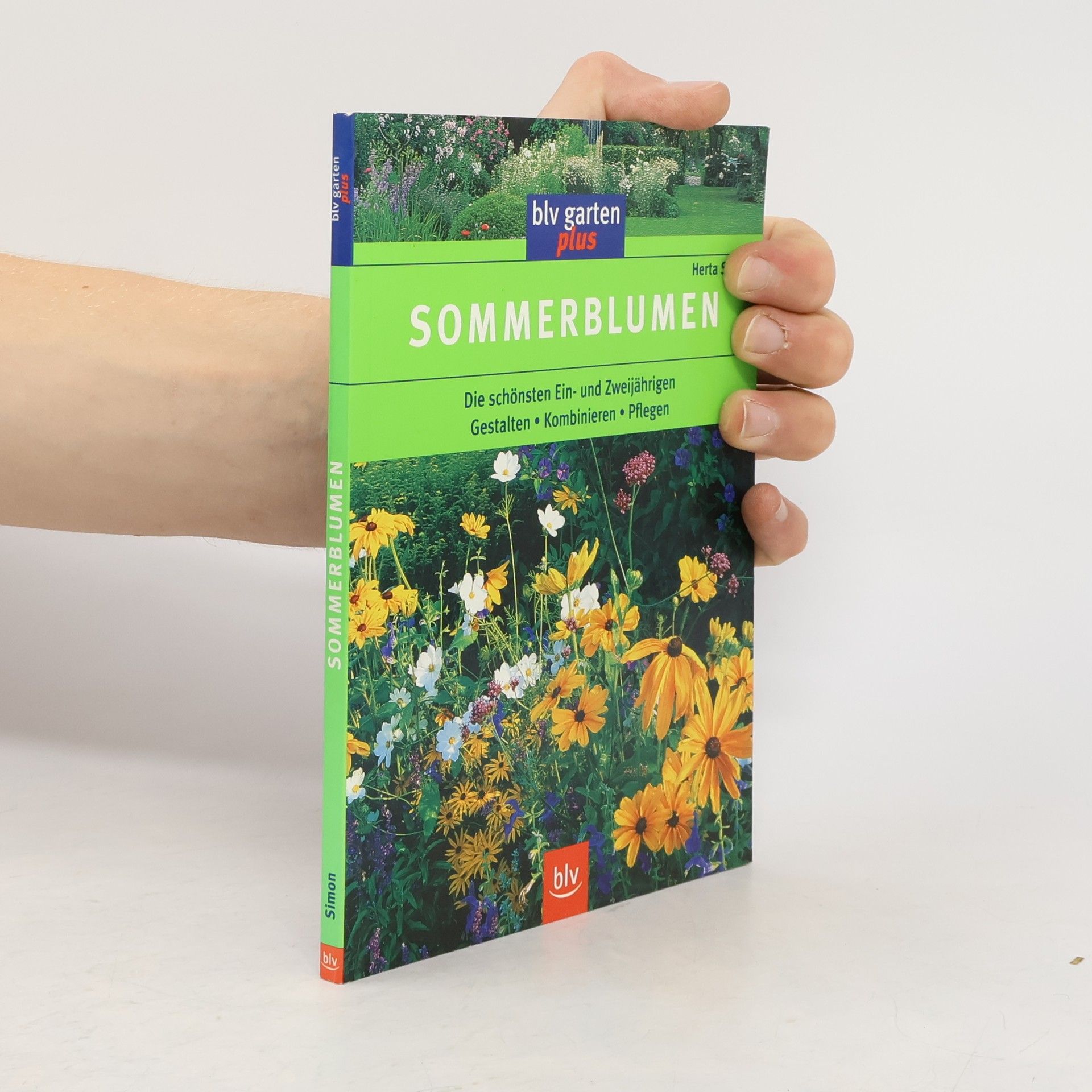 Herta Simon Sommerblumen