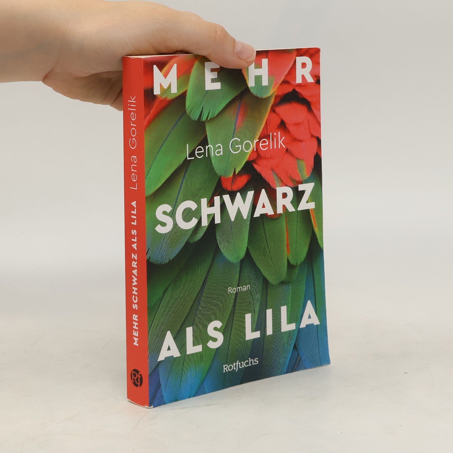 Lena Gorelik Mehr Schwarz als Lila: Roman