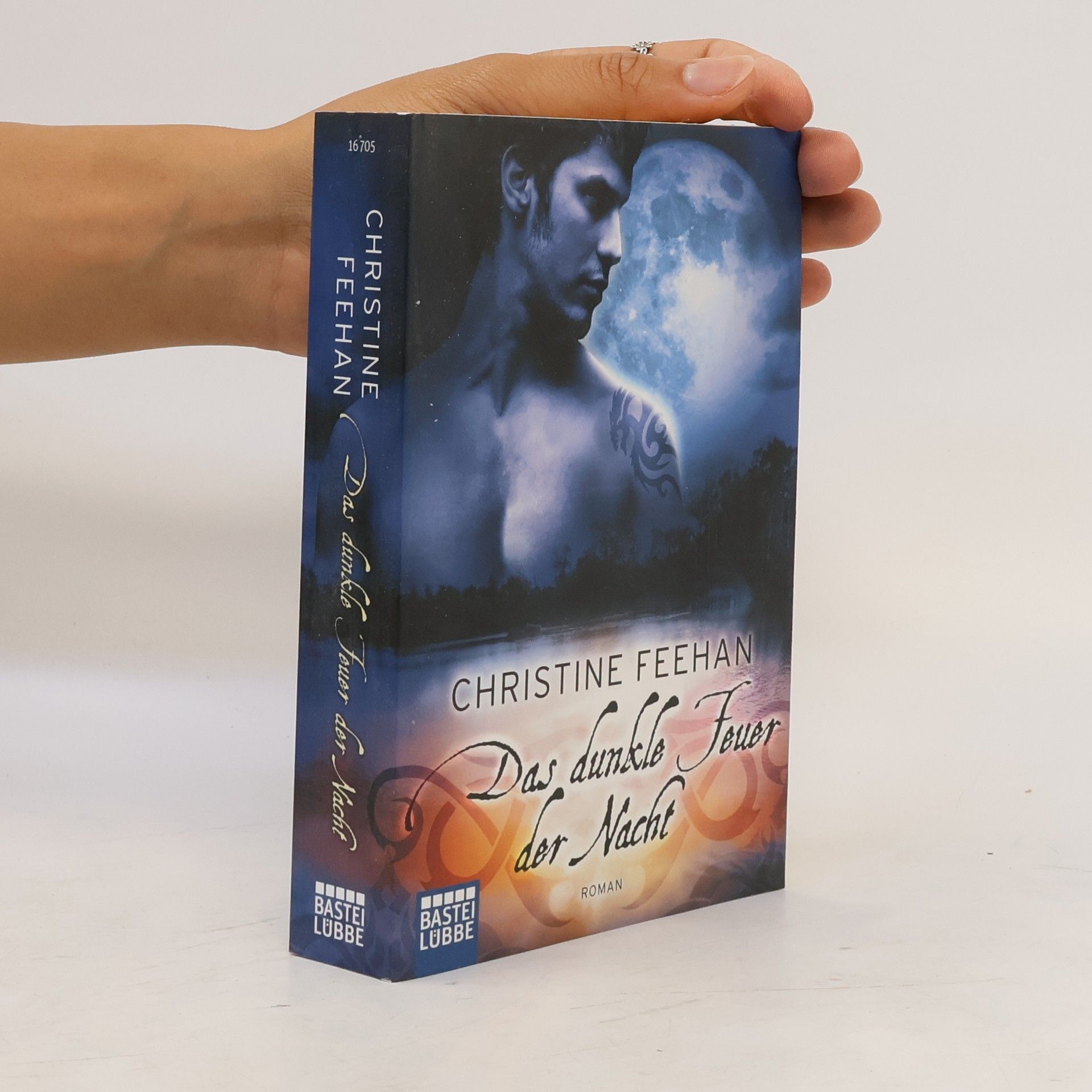 Christine Feehan Das dunkle Feuer der Nacht
