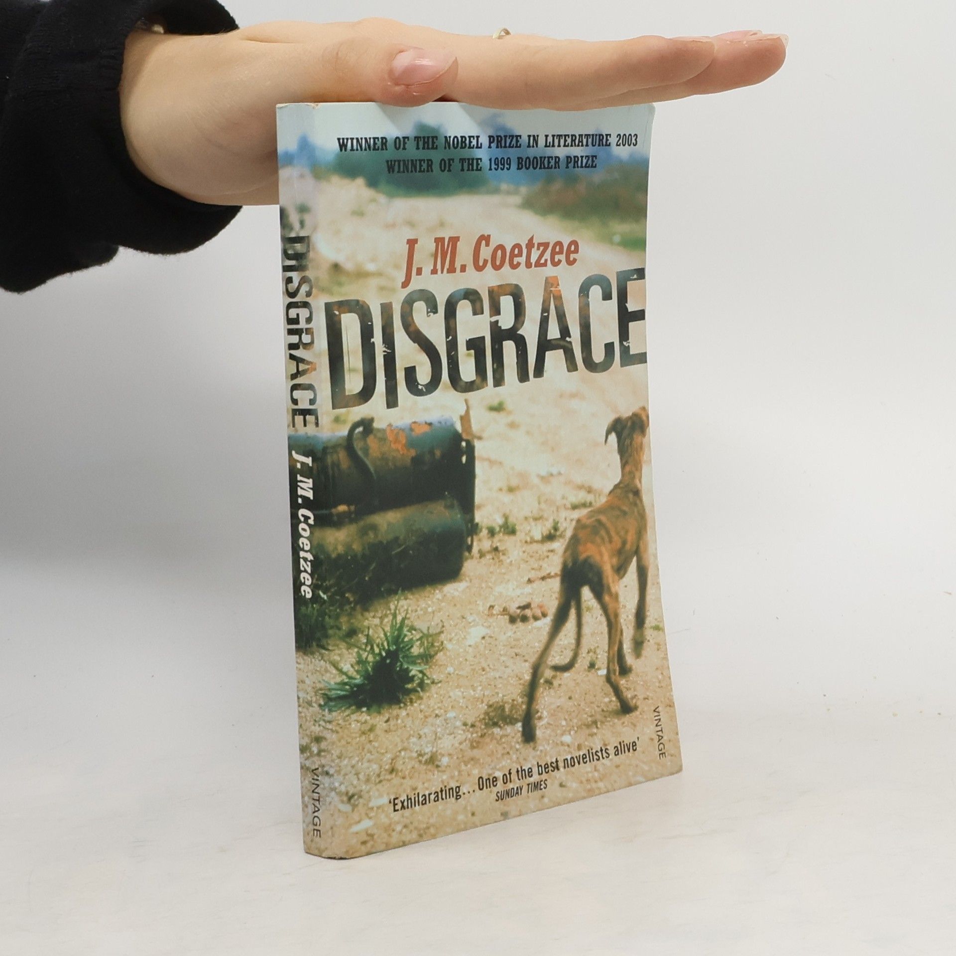 J. M. Coetzee Disgrace