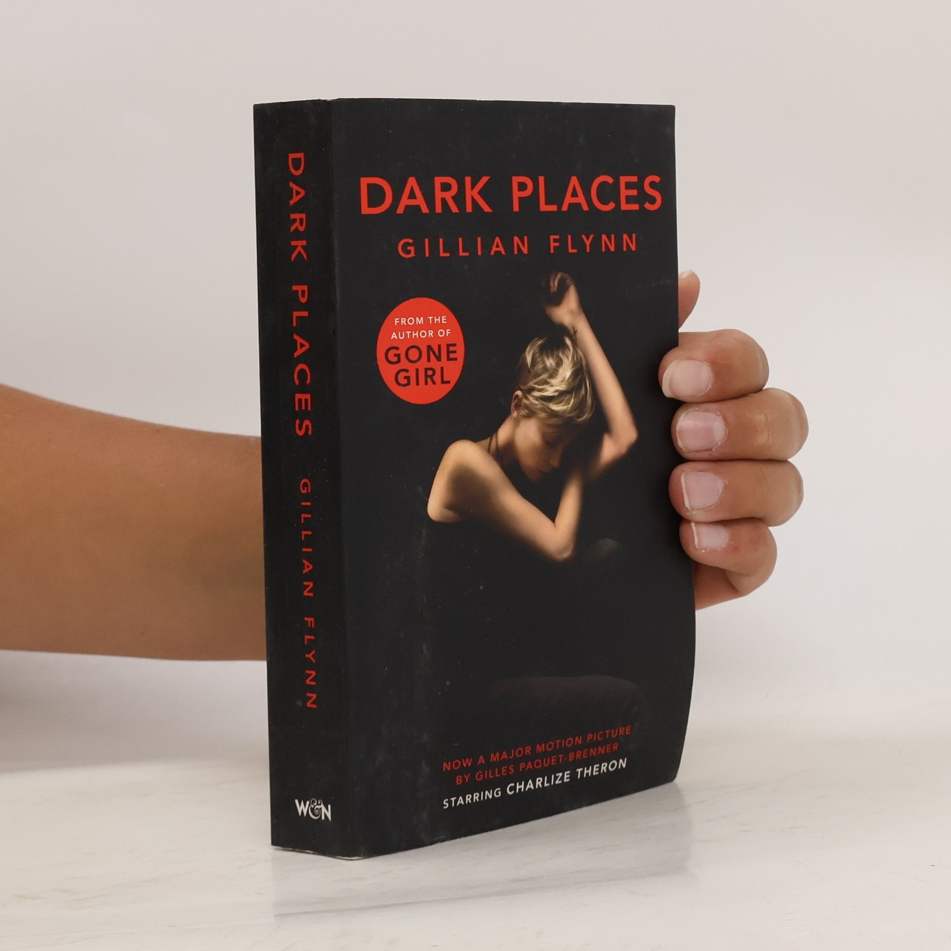 Gillian Flynn Dark Places