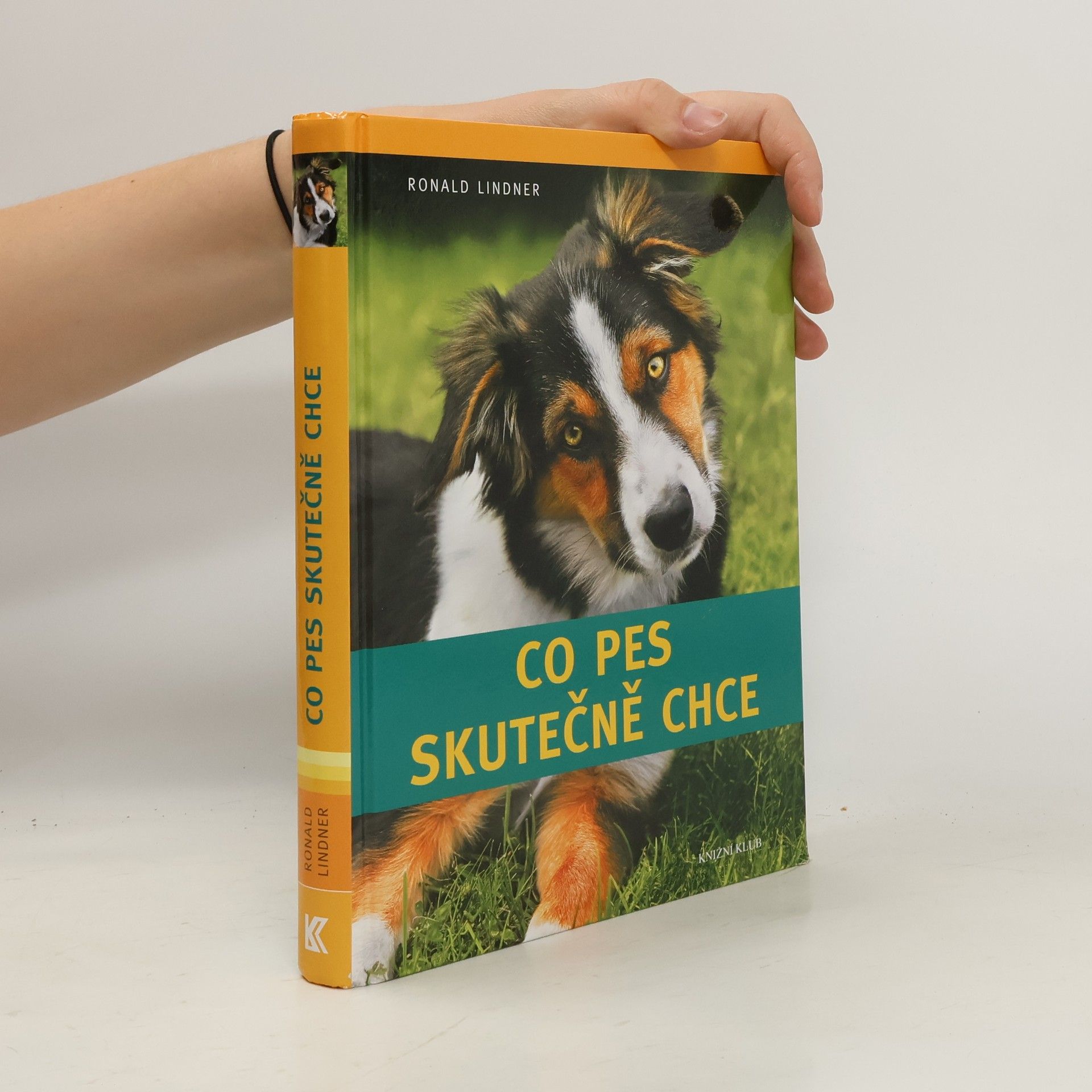 Co pes skutečně chce