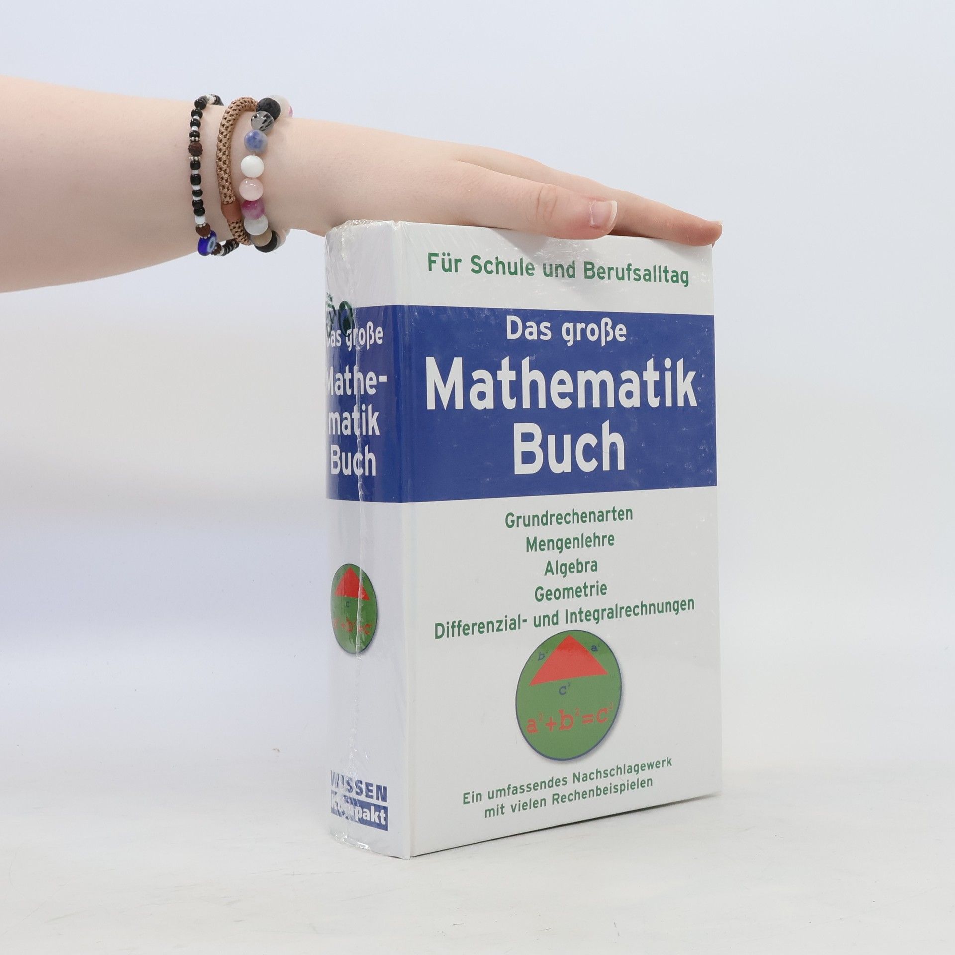 Thomas M. Müller Das grosse Mathematikbuch