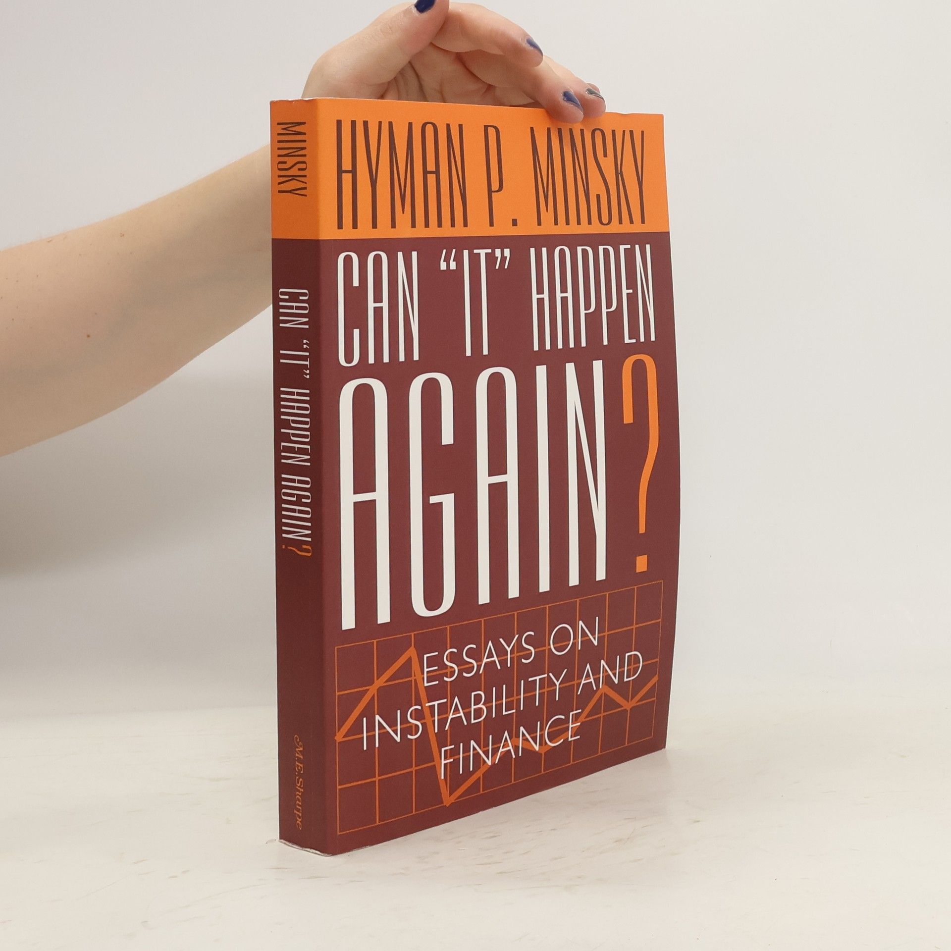 Hyman Philip Minsky Can 'it' happen again?: essays on instability and finance