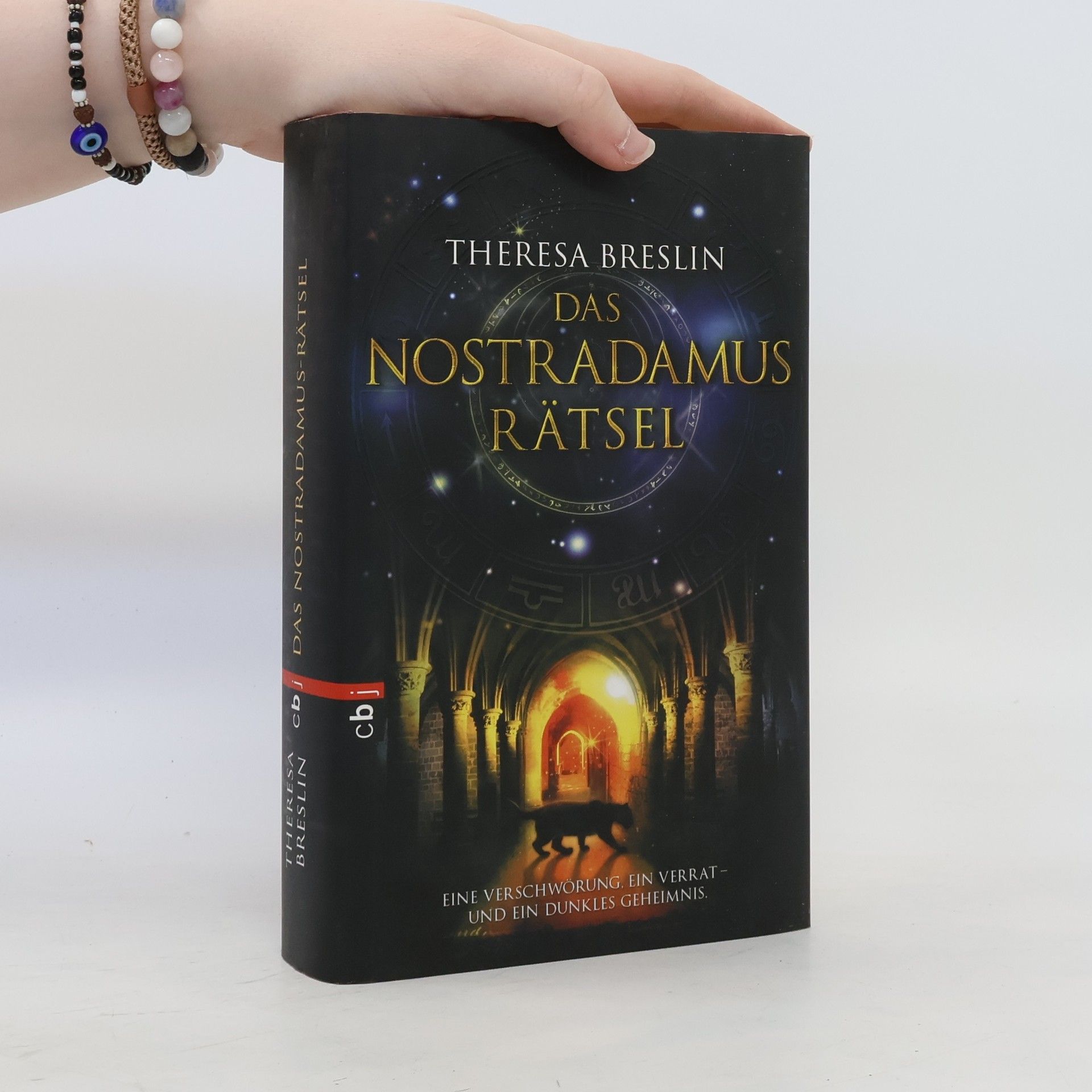 Theresa Breslin Das Nostradamus-Rätsel
