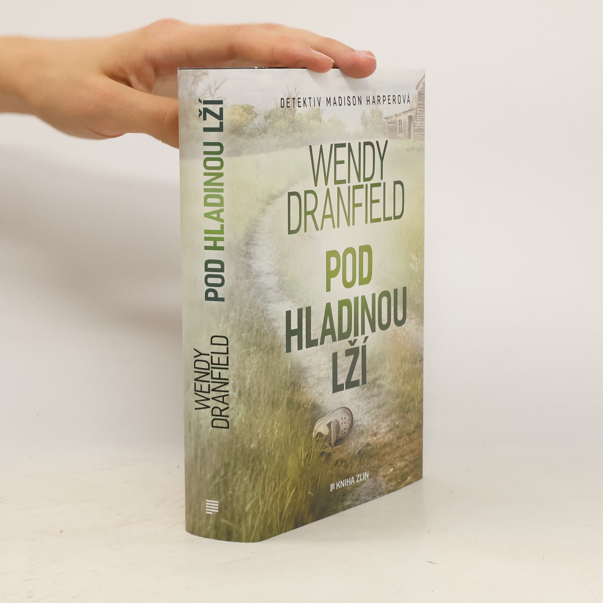 Wendy Dranfield Pod hladinou lží