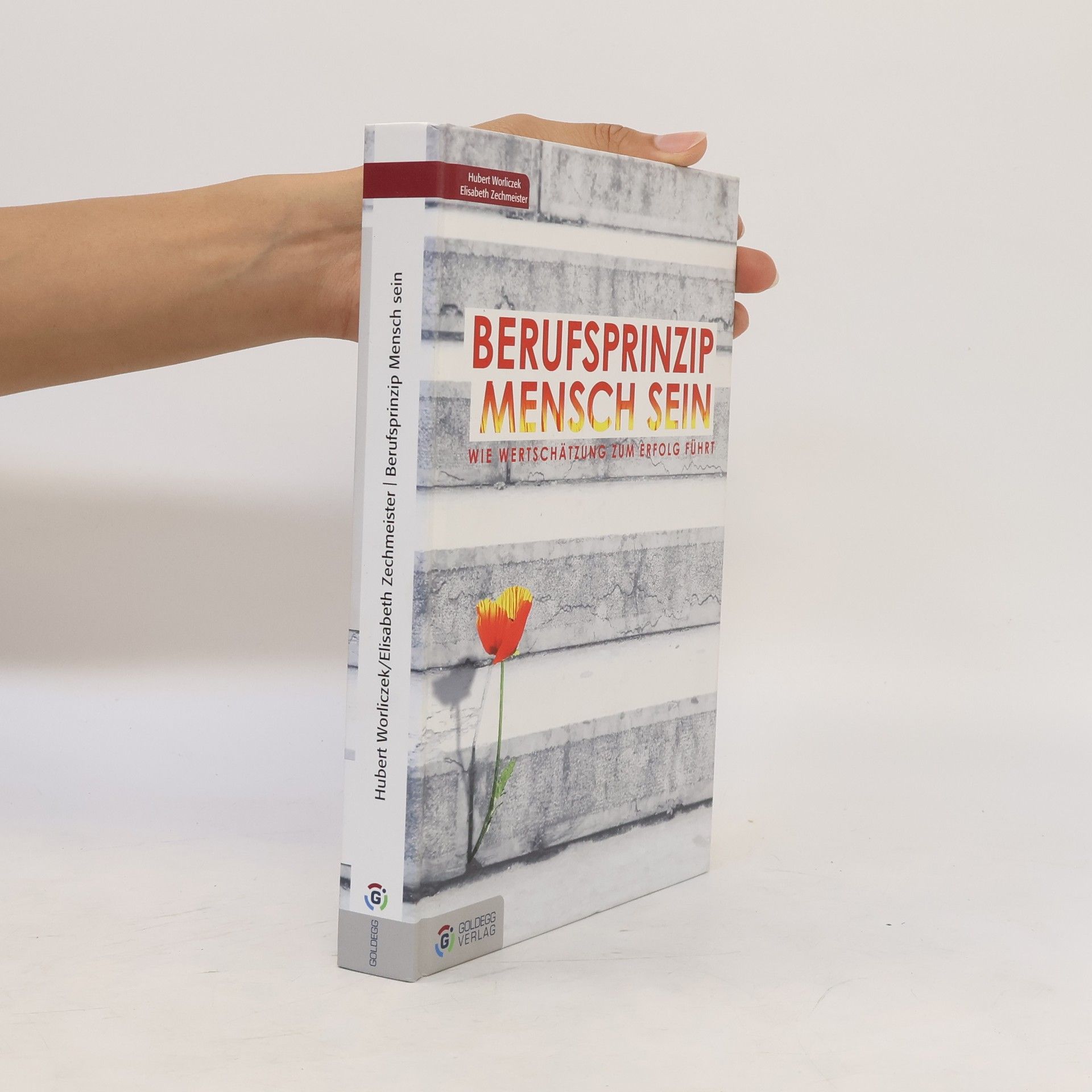 Hubert Worliczek Berufsprinzip Mensch sein