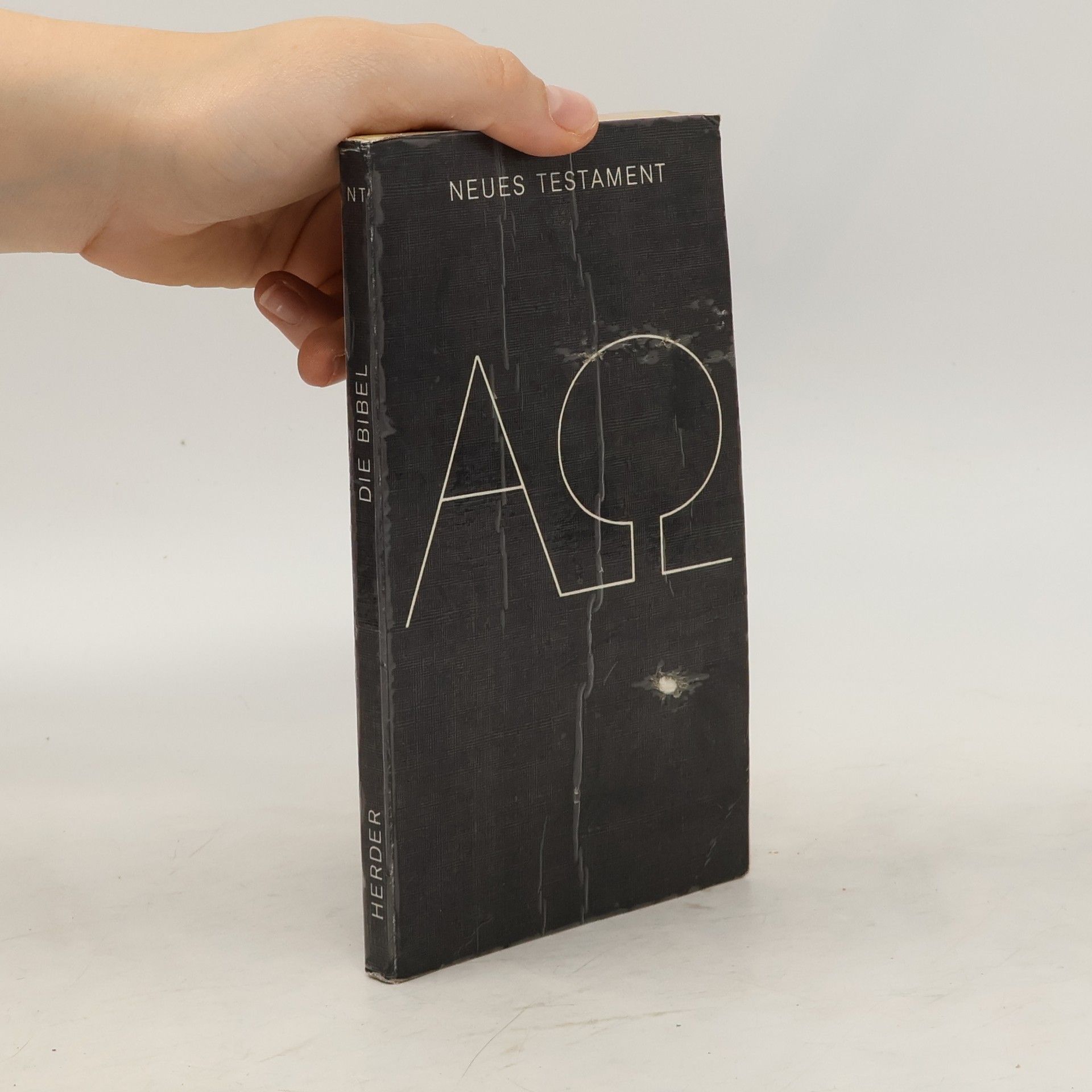 Collectif d'auteurs Die Bibel. Neues Testament