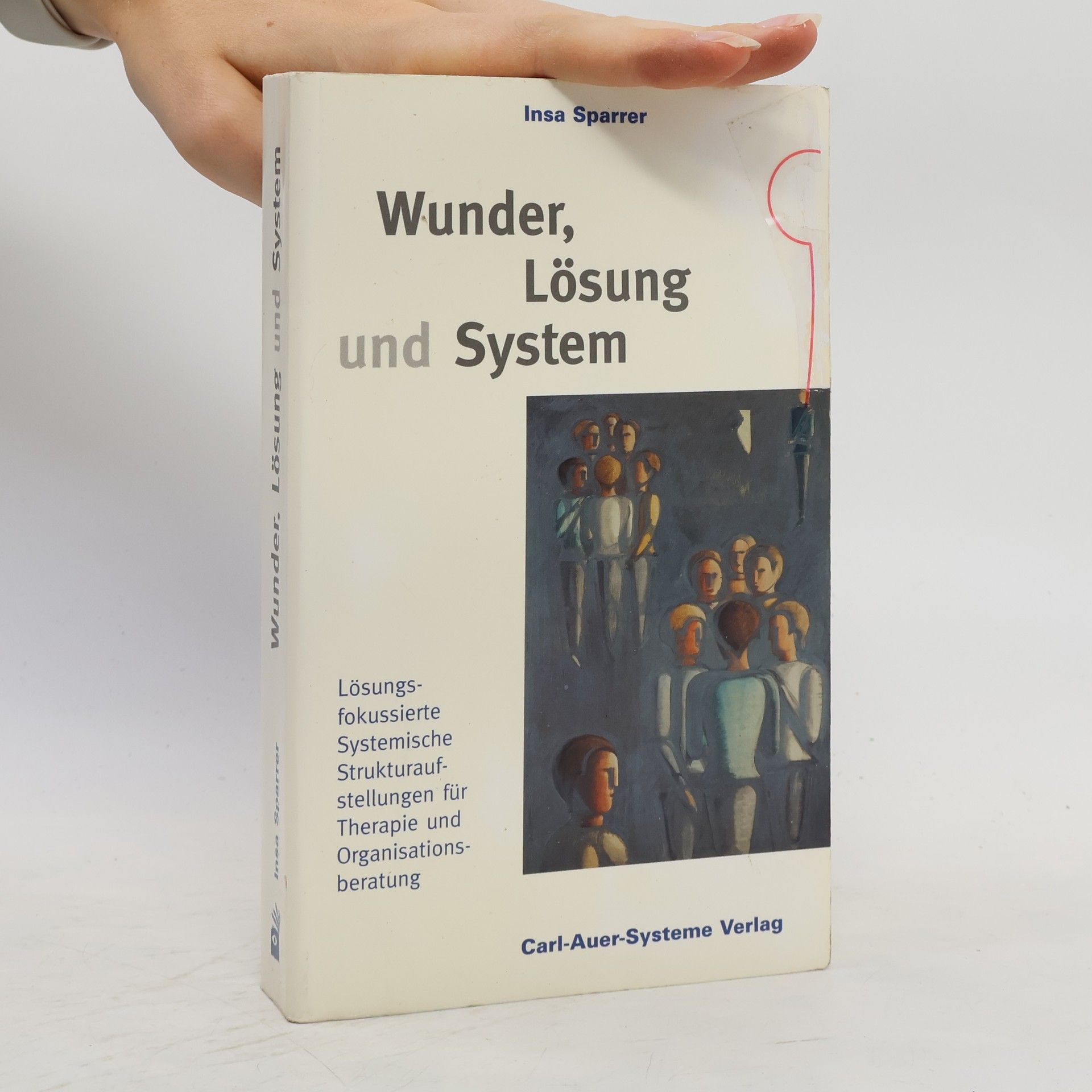 Insa Sparrer Wunder, Lösung und System