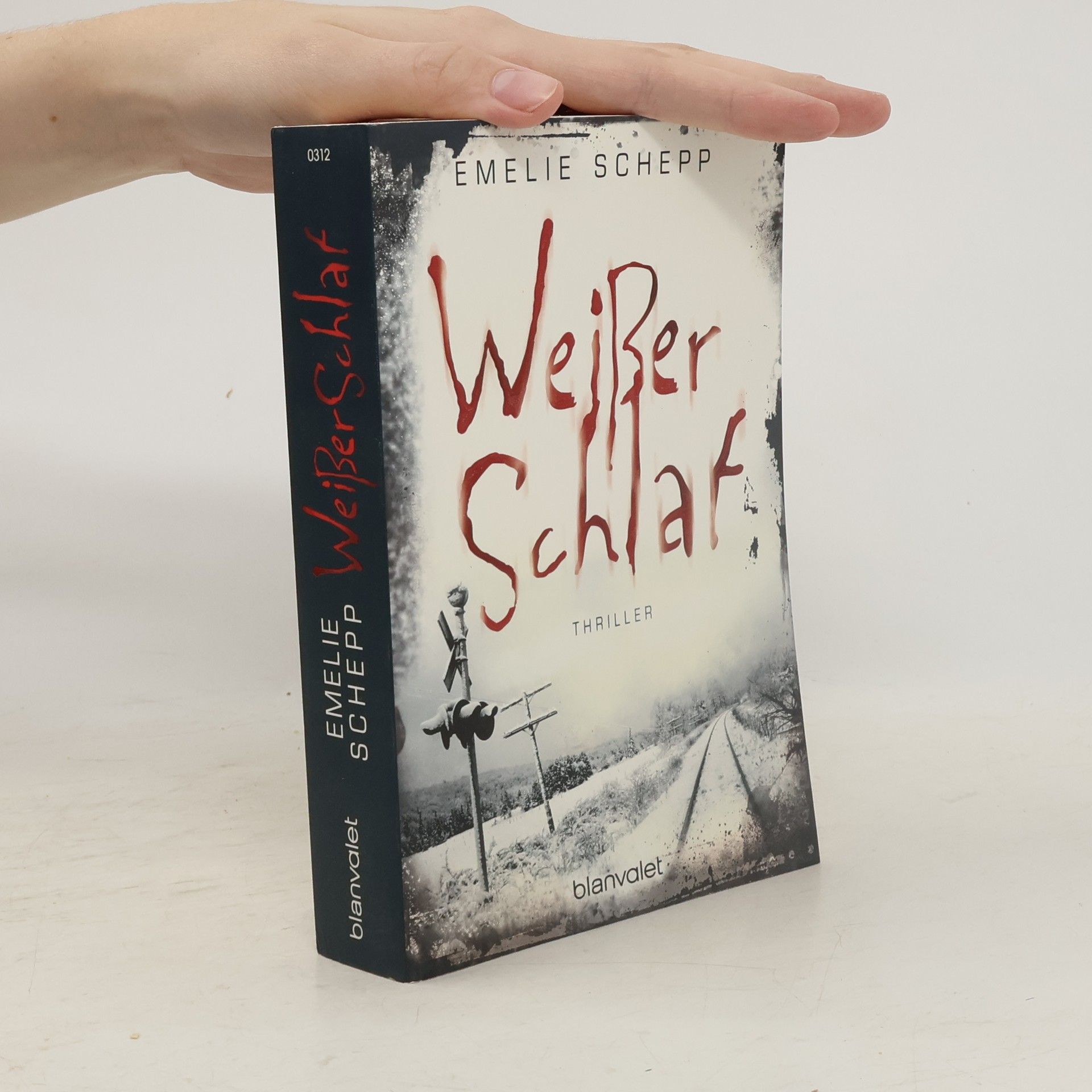 Emelie Schepp Weißer Schlaf
