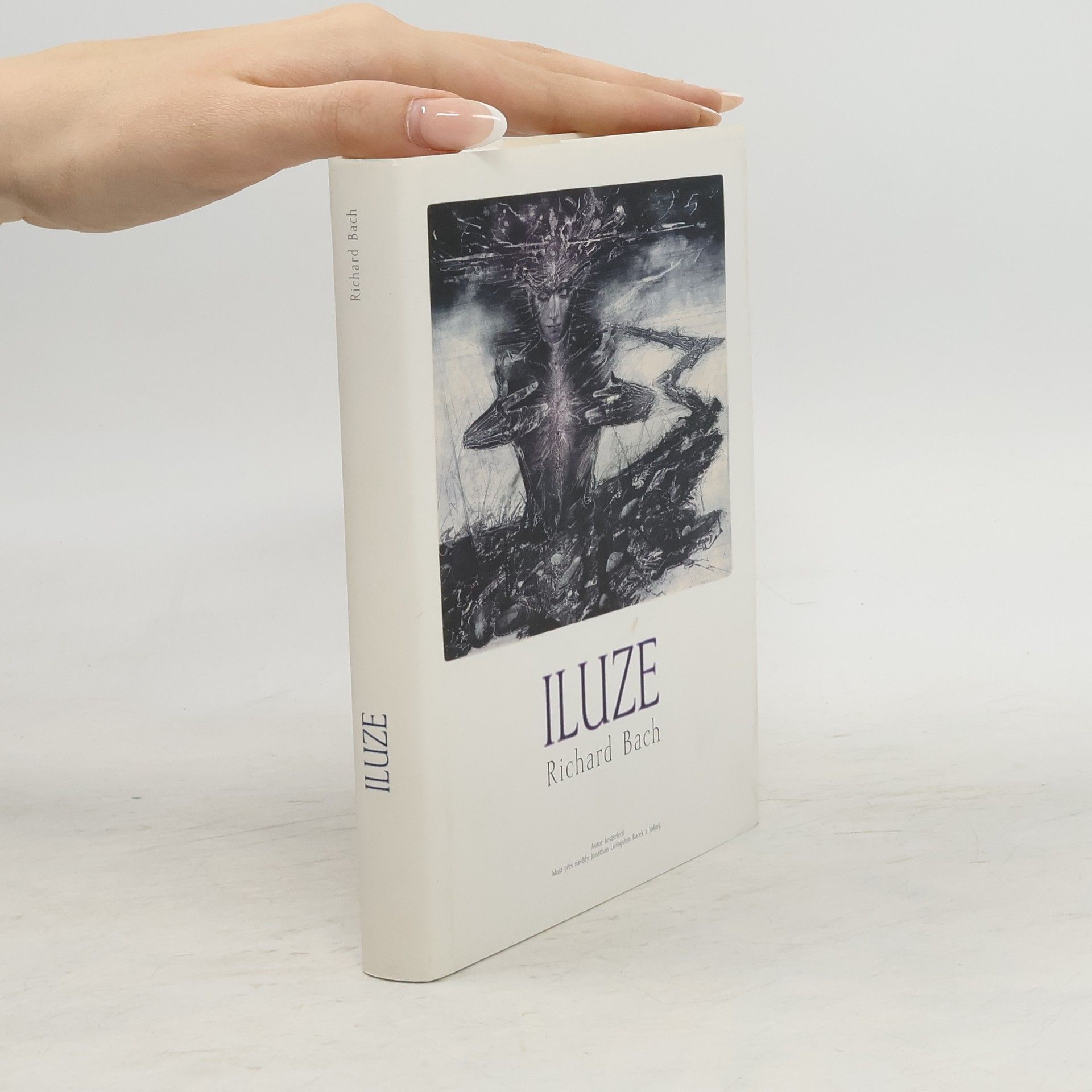 Vladimír Novák Iluze