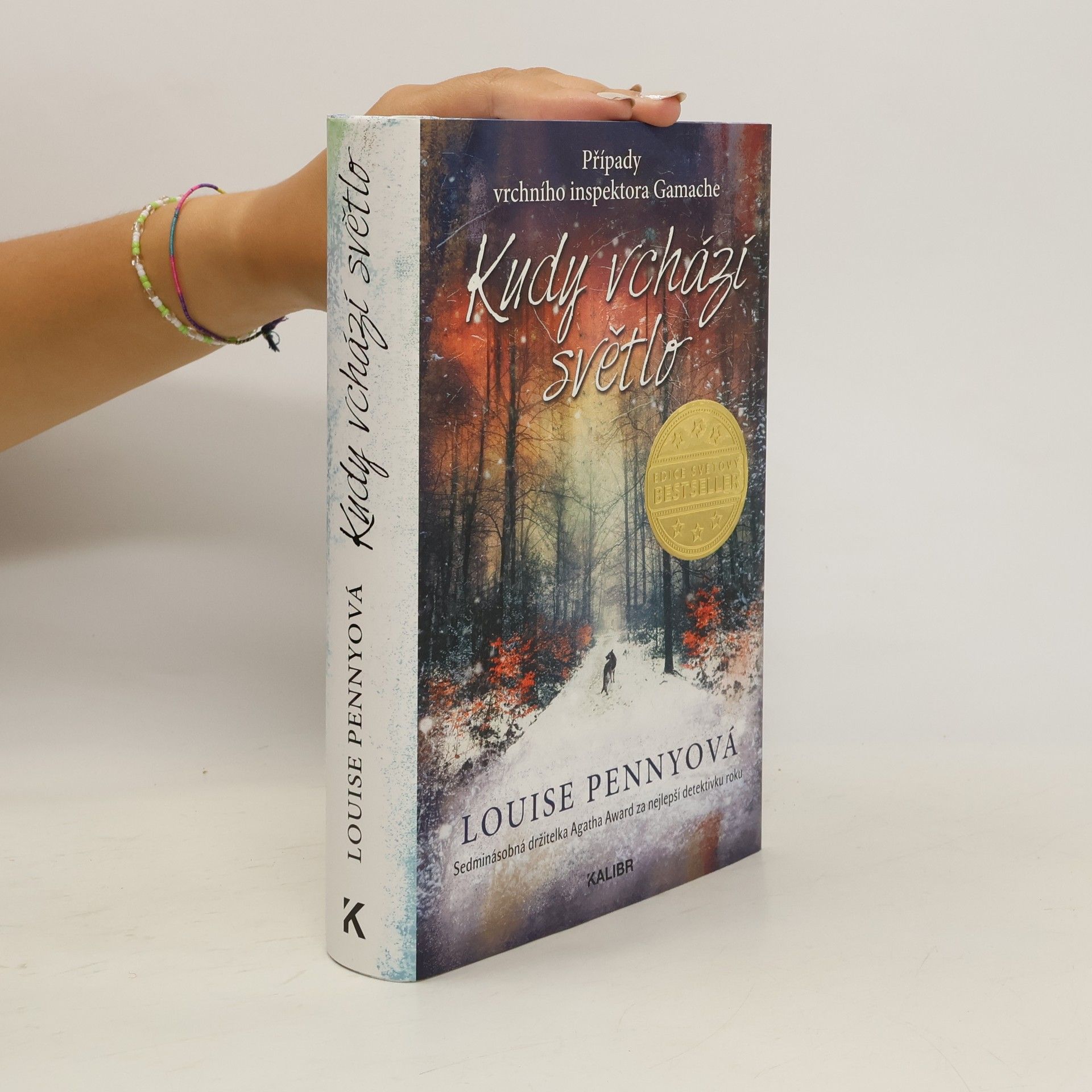 Louise Penny Kudy vchází světlo