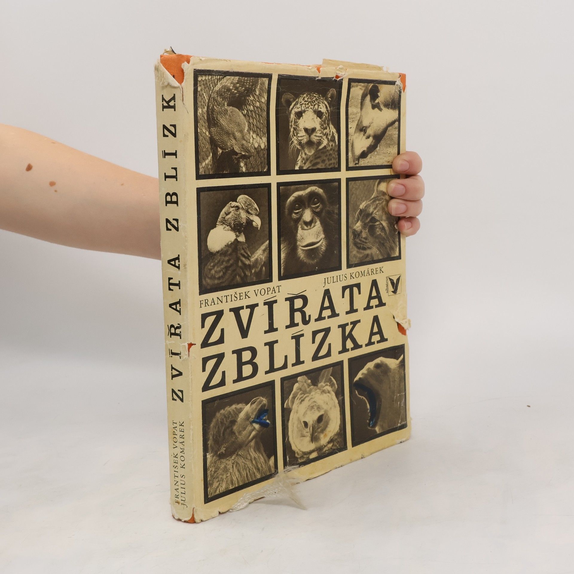 František Vopat Zvířata zblízka