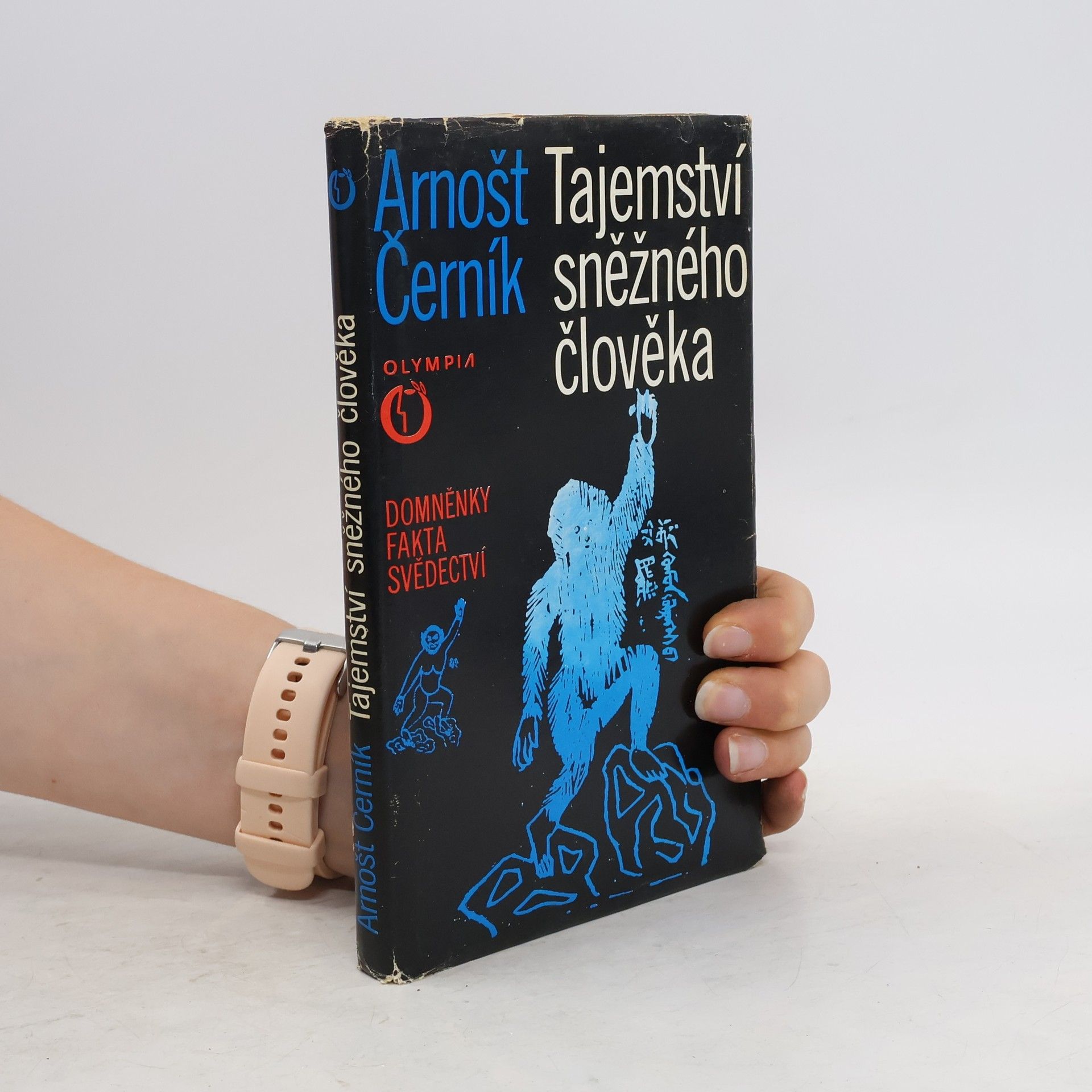 Arnošt Černík Tajemství sněžného člověka