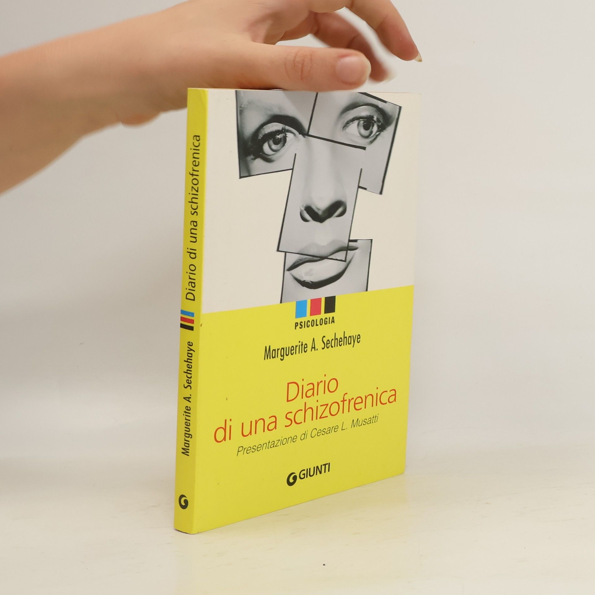Marguerite A. Sechehaye Diario di una schizofrenica