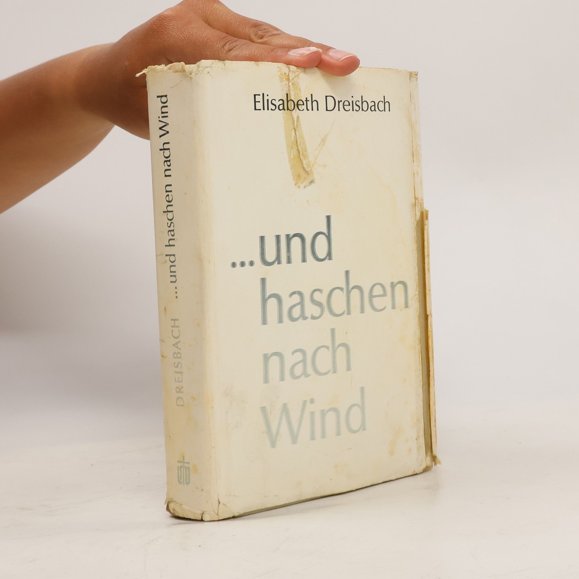 Elisabeth Dreisbach ... und haschen nach Wind