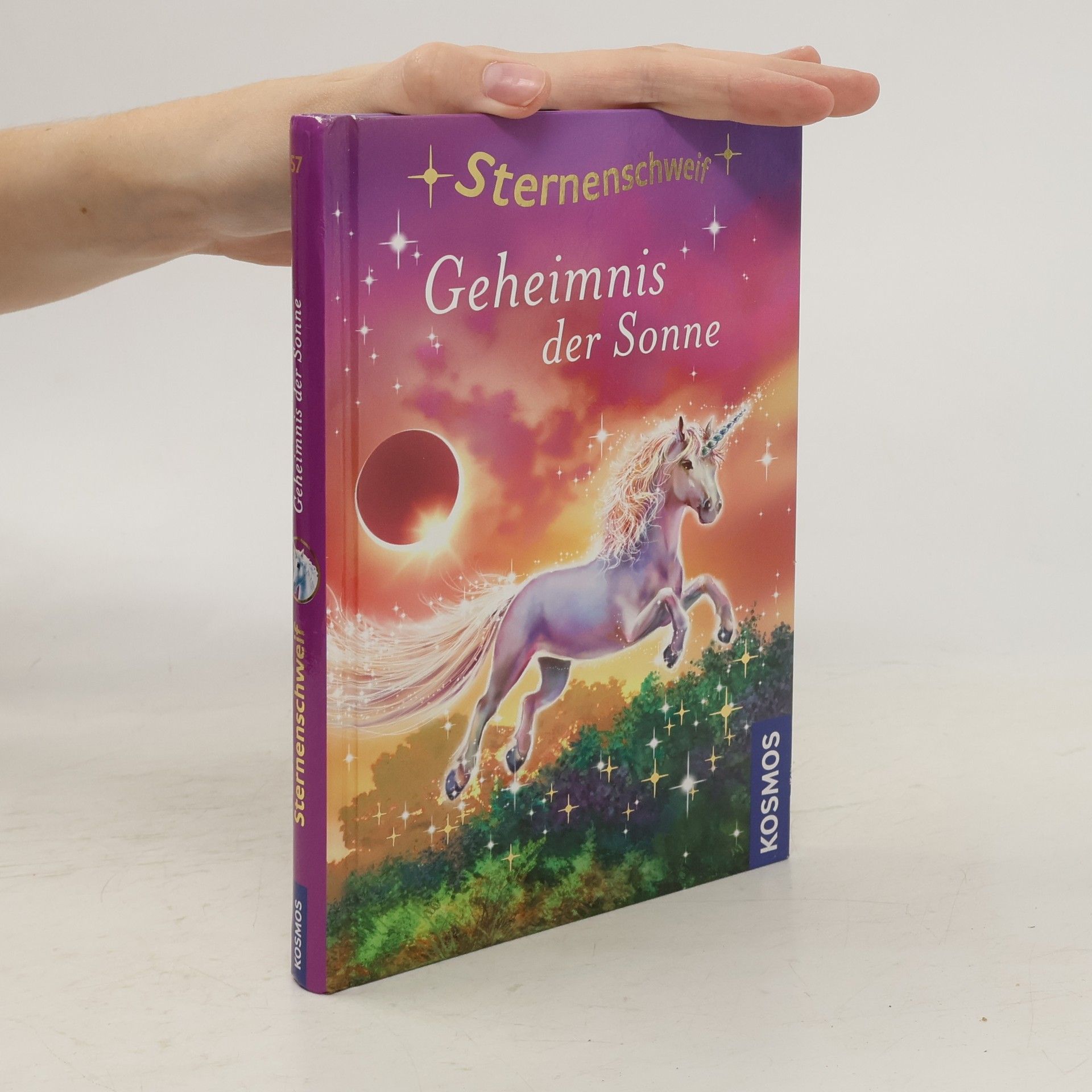 Anne Scheller Geheimnis der Sonne