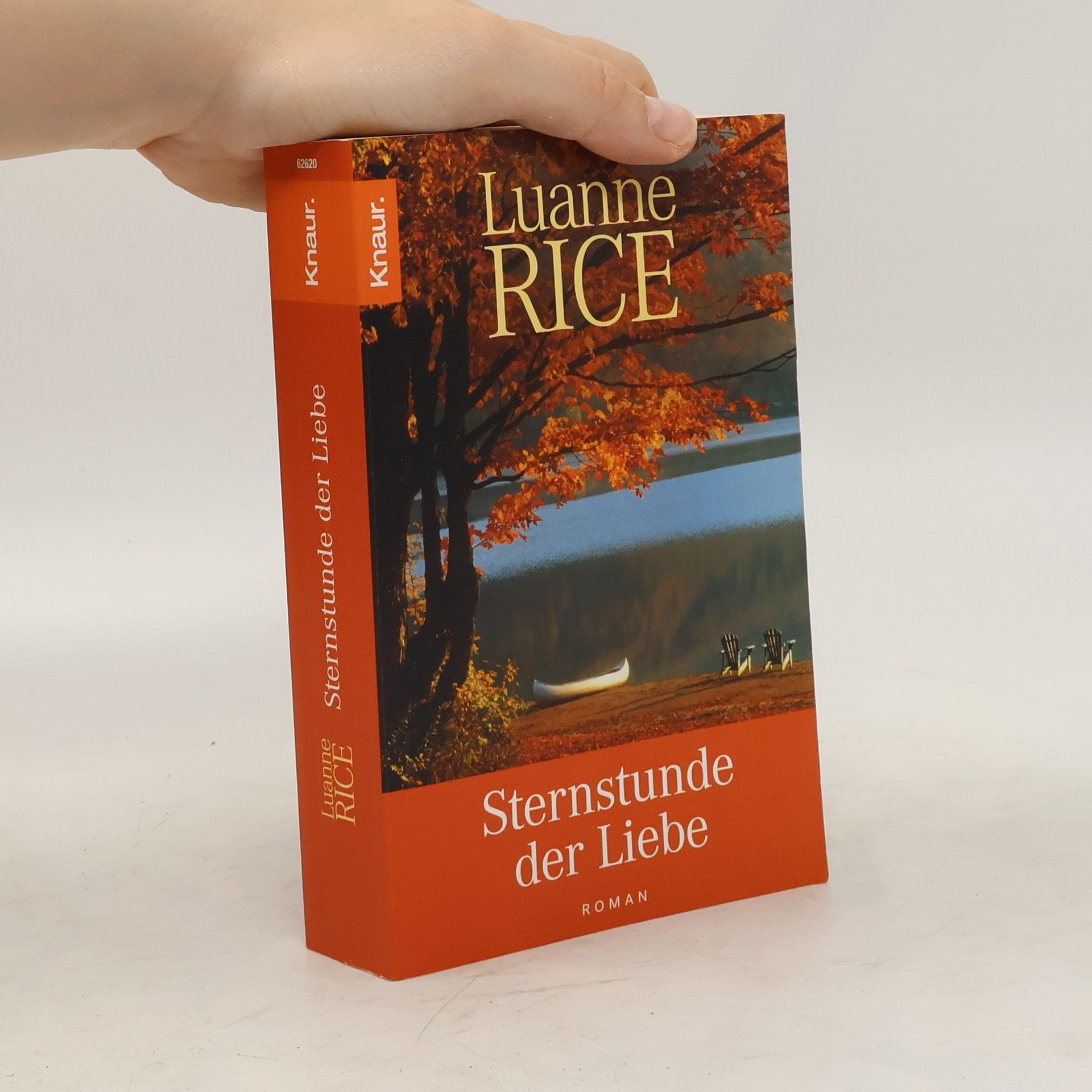 Luanne Rice Sternstunde der Liebe