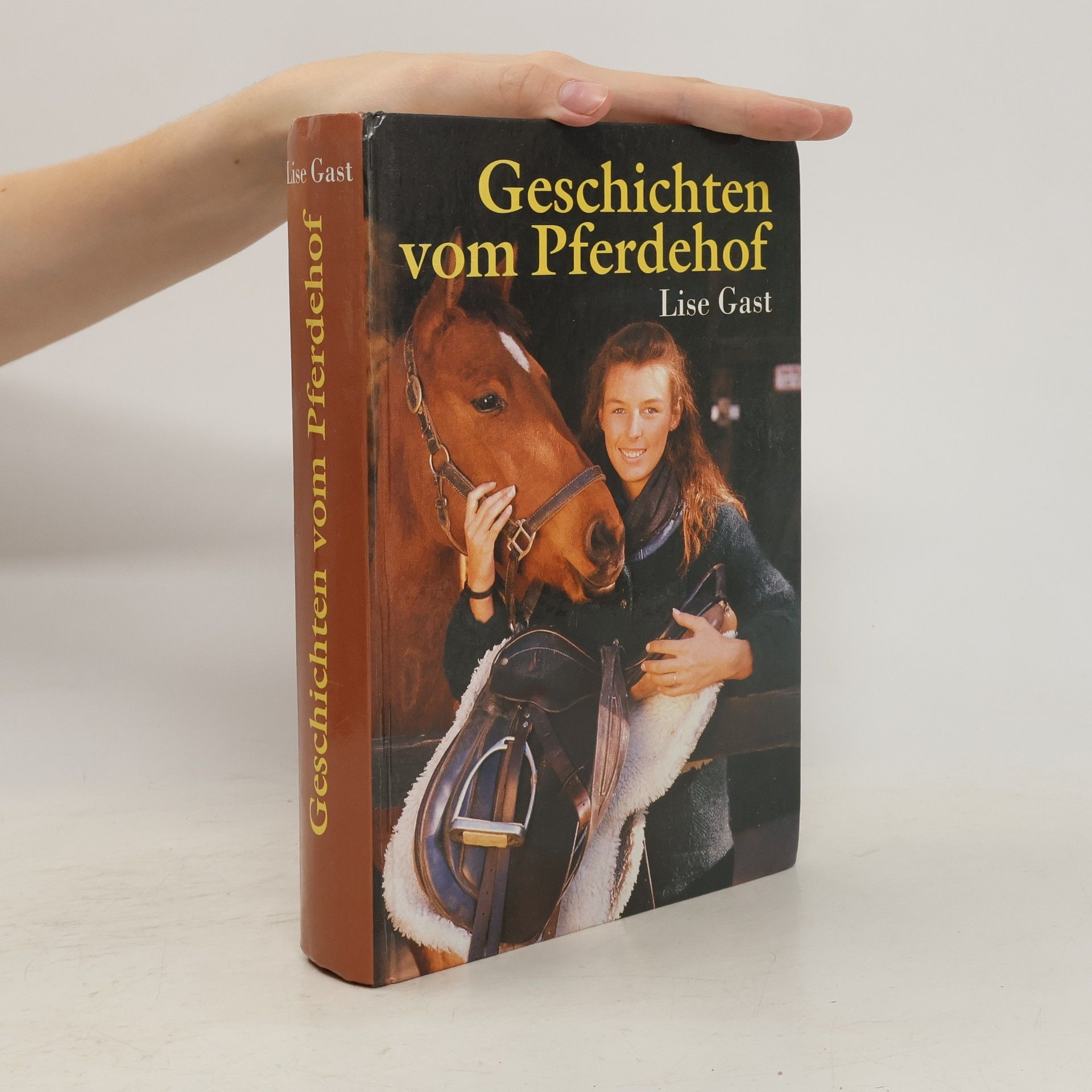 Lise Gast Geschichten vom Pferdehof