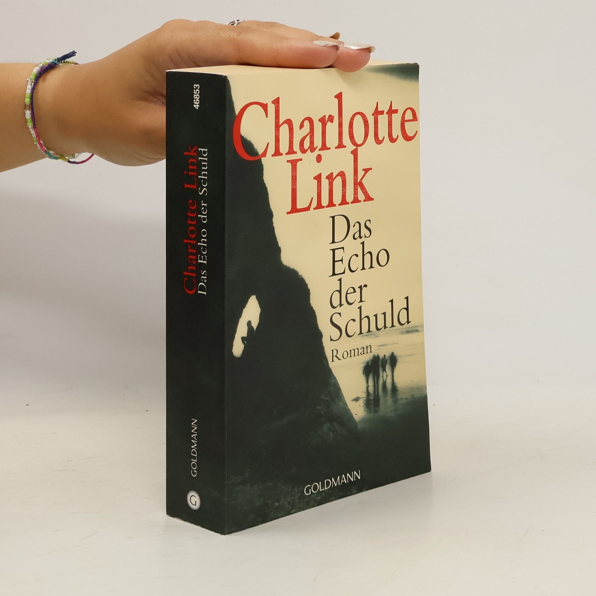 Charlotte Link Das Echo der Schuld