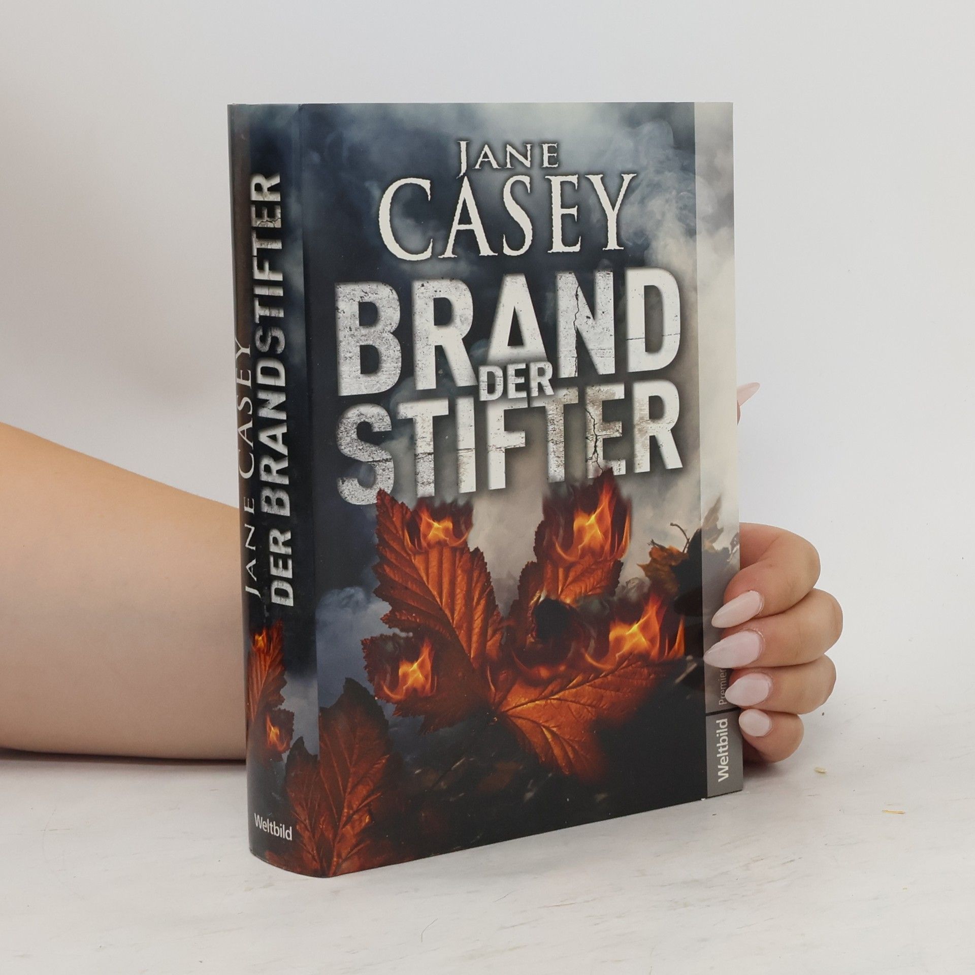 Jane Casey Der Brandstifter