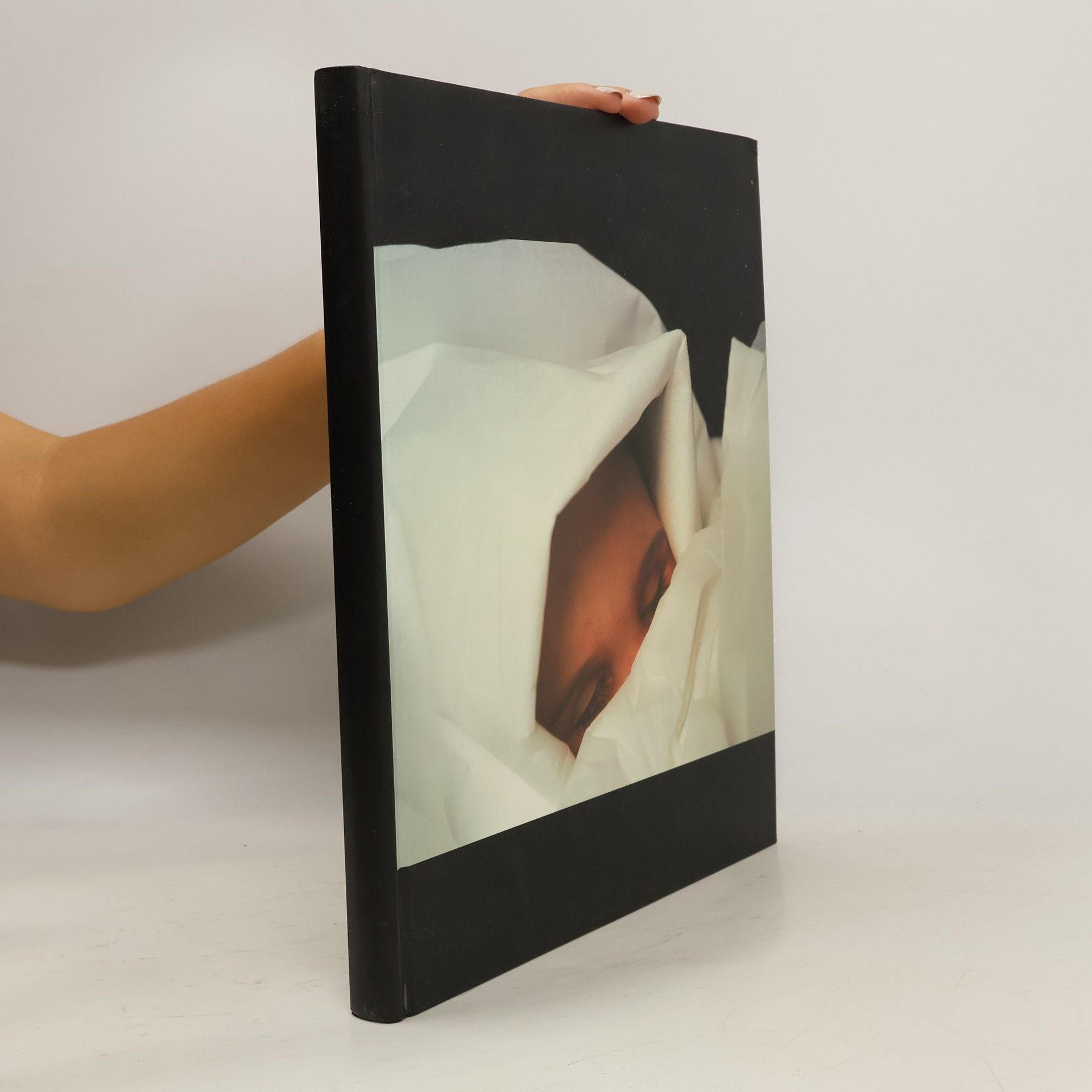 Martin Stauch Netter art collection