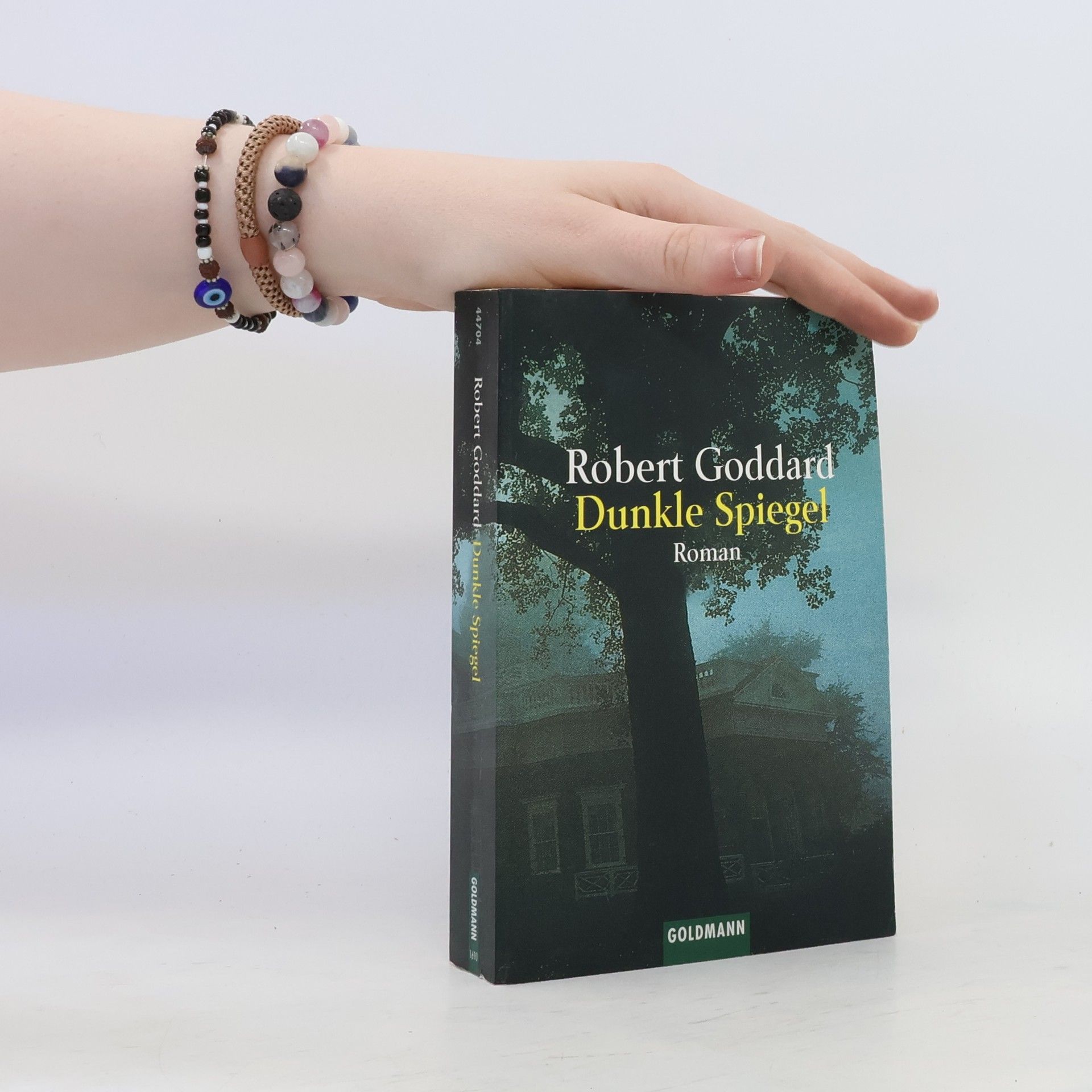 Robert Goddard Dunkle Spiegel