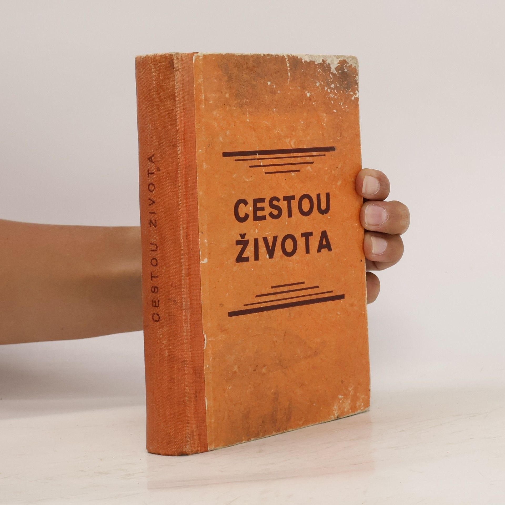 Collective Cesta života