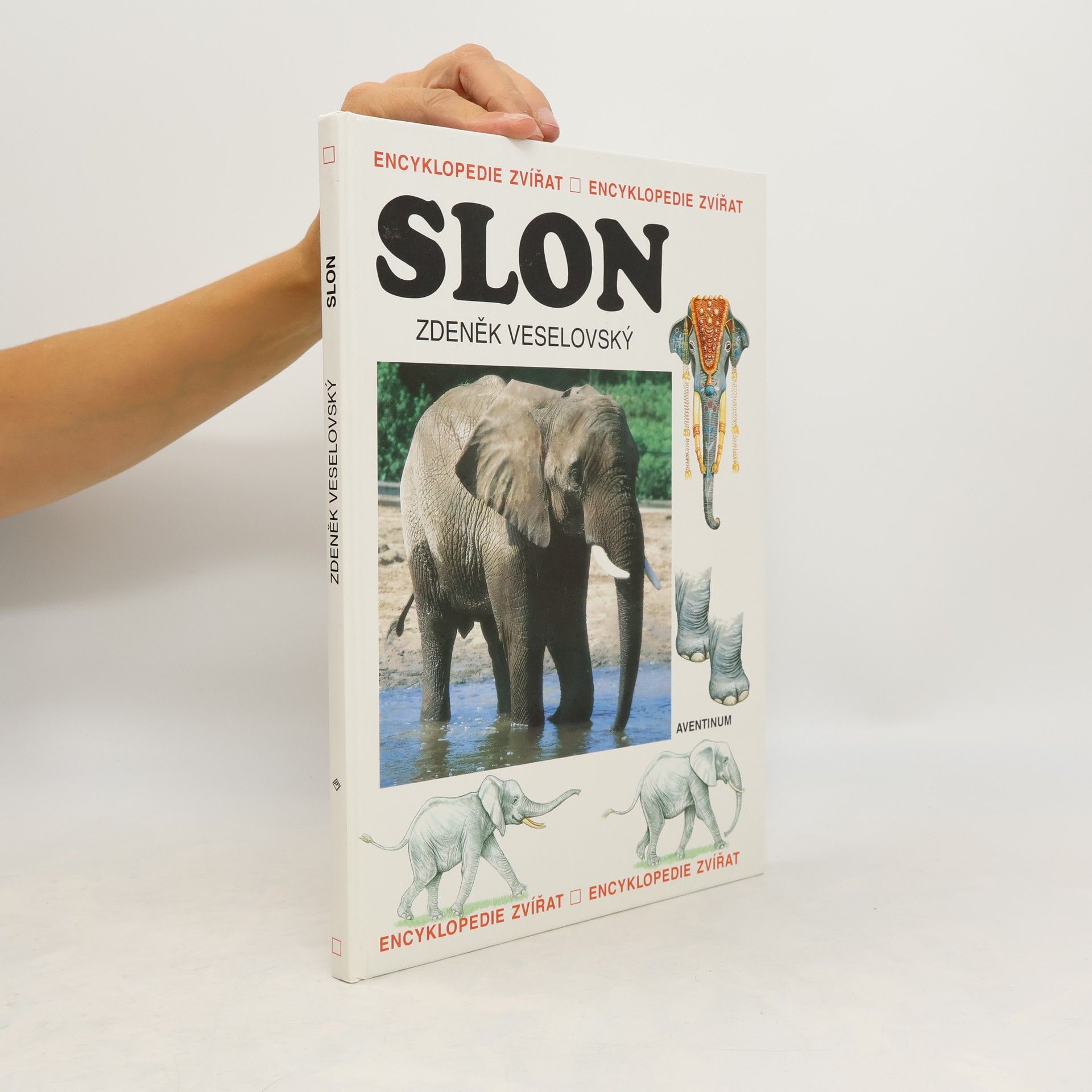 Zdeněk Veselovský Slon