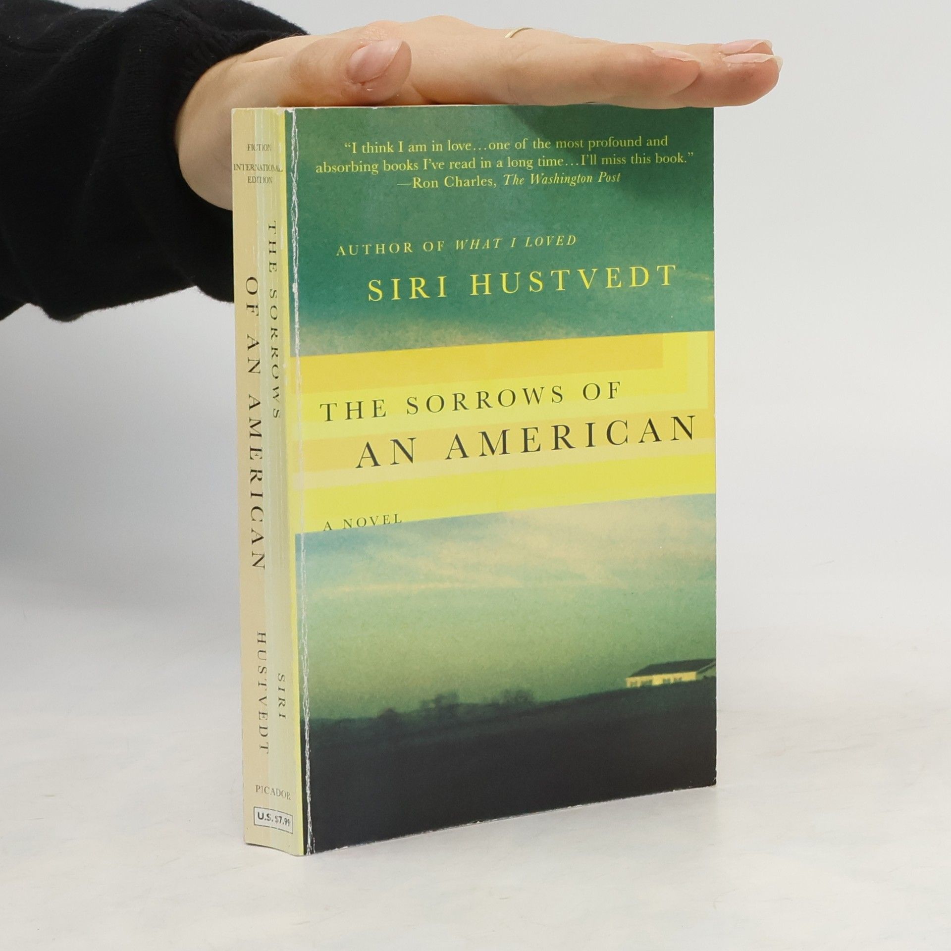 Siri Hustvedt Sorrows of an American