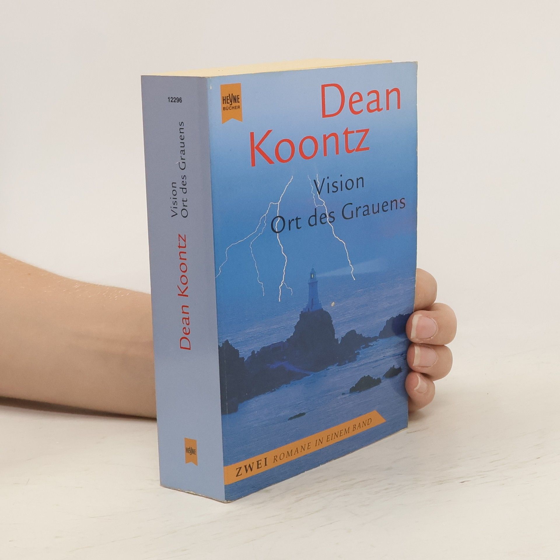 Dean R. Koontz Vision. Ort des Grauens.
