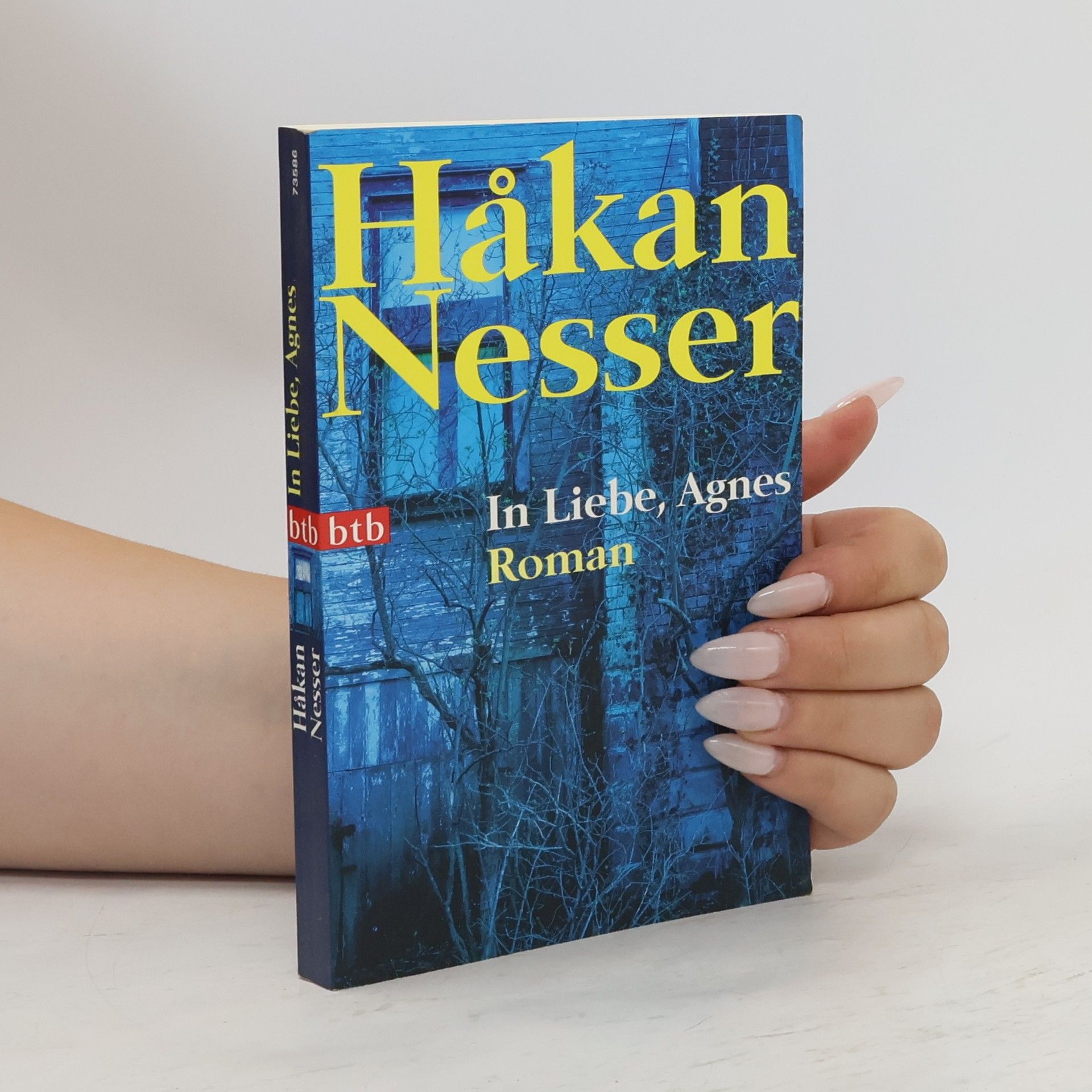 Håkan Nesser In Liebe, Agnes