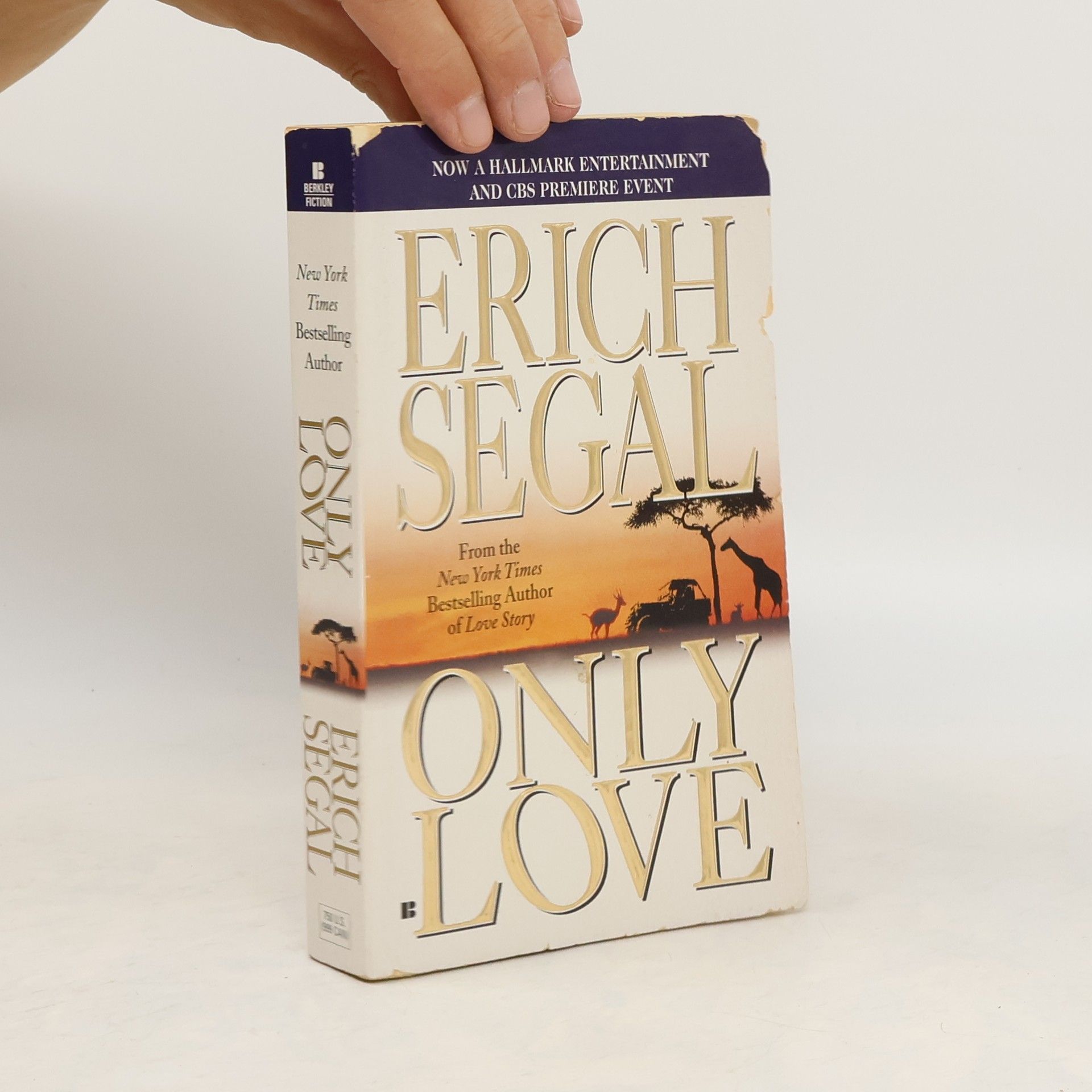 Erich Segal Only love