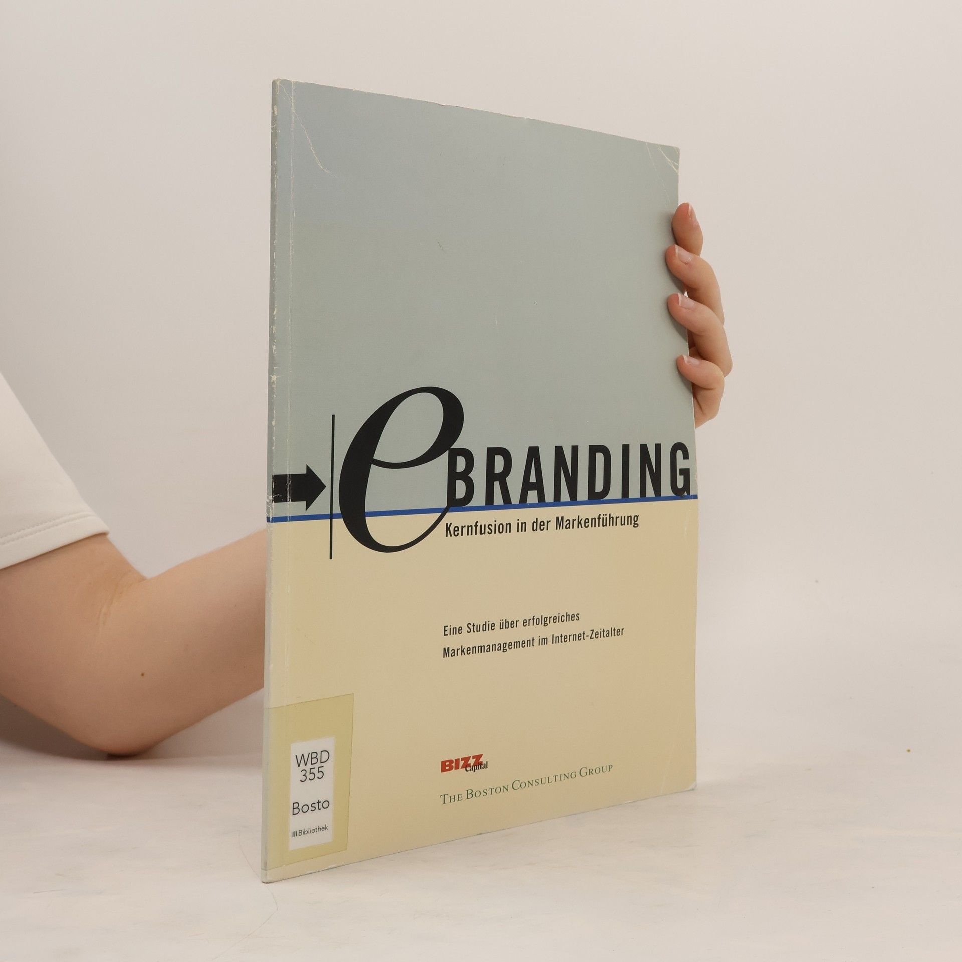 Collectif d'auteurs E-Branding. Kernfusion in der Markenführung