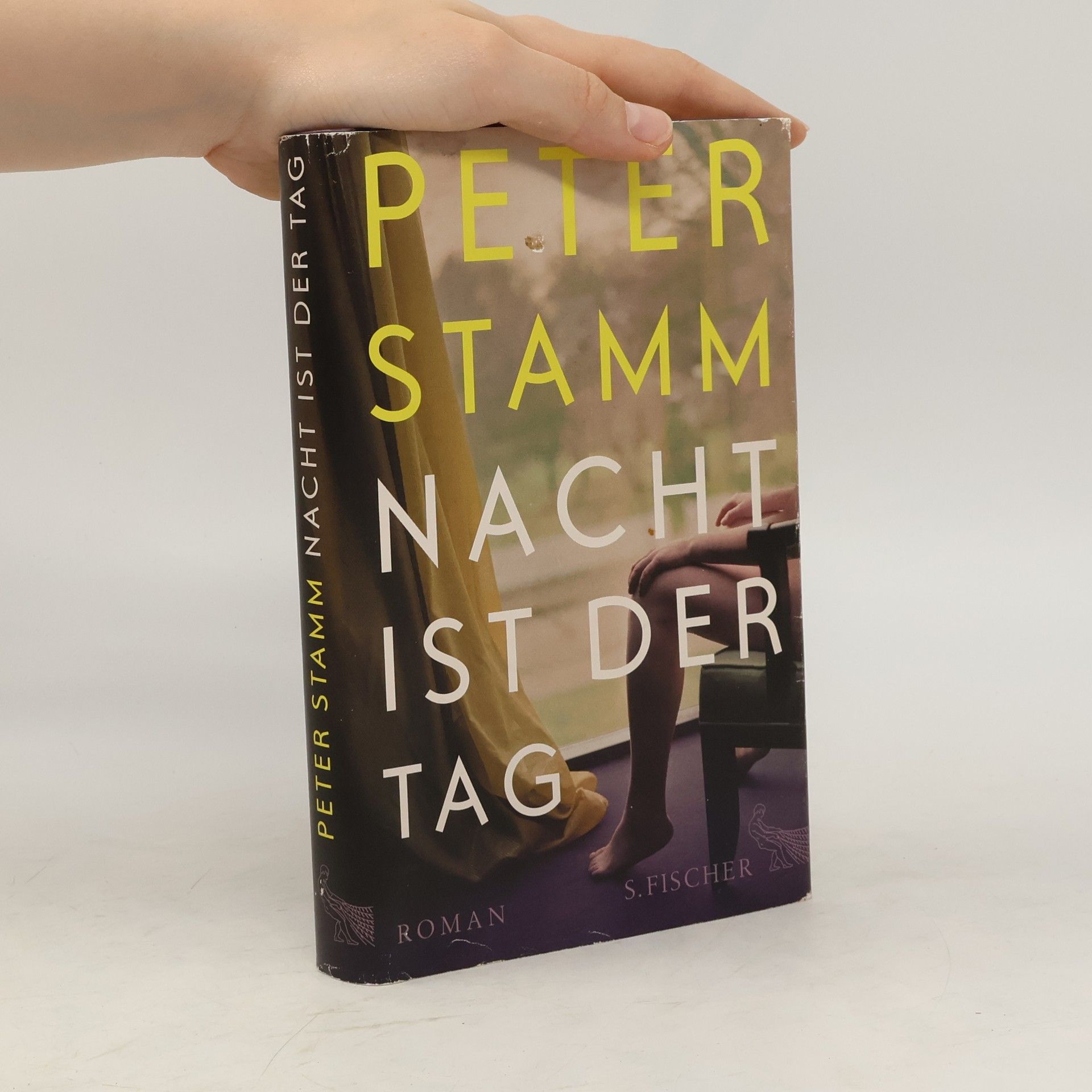 Peter Stamm Nacht ist der Tag