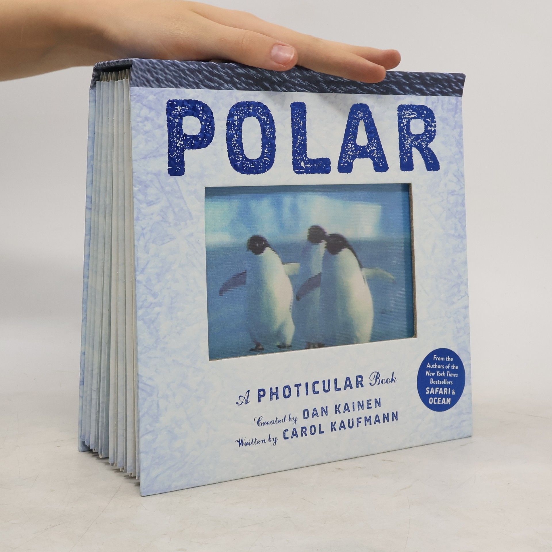 Dan Kainen Polar