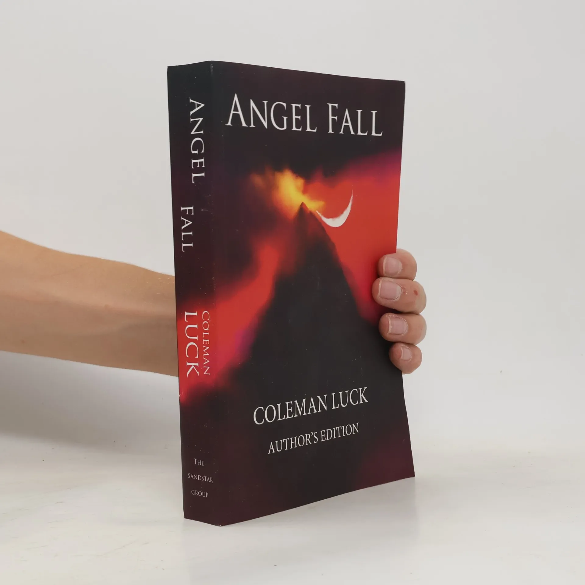 Angel Fall | Coleman Luck | Englisch | Book