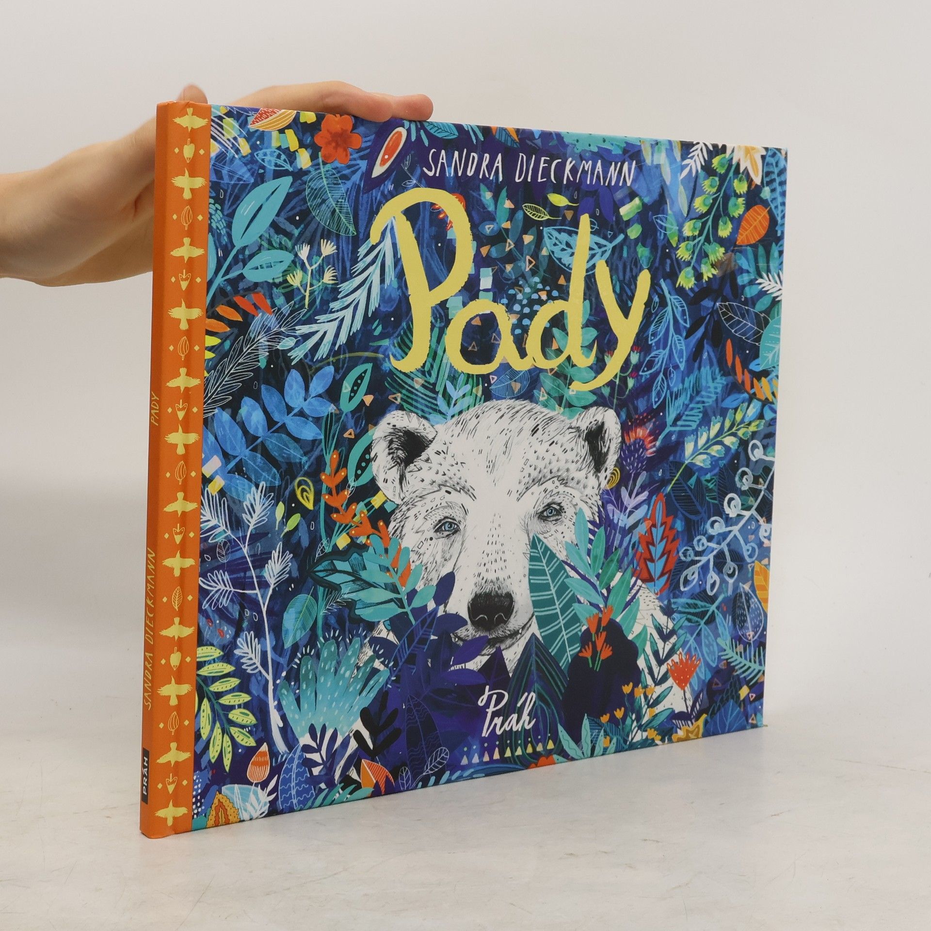 Sandra Dieckmann Pady