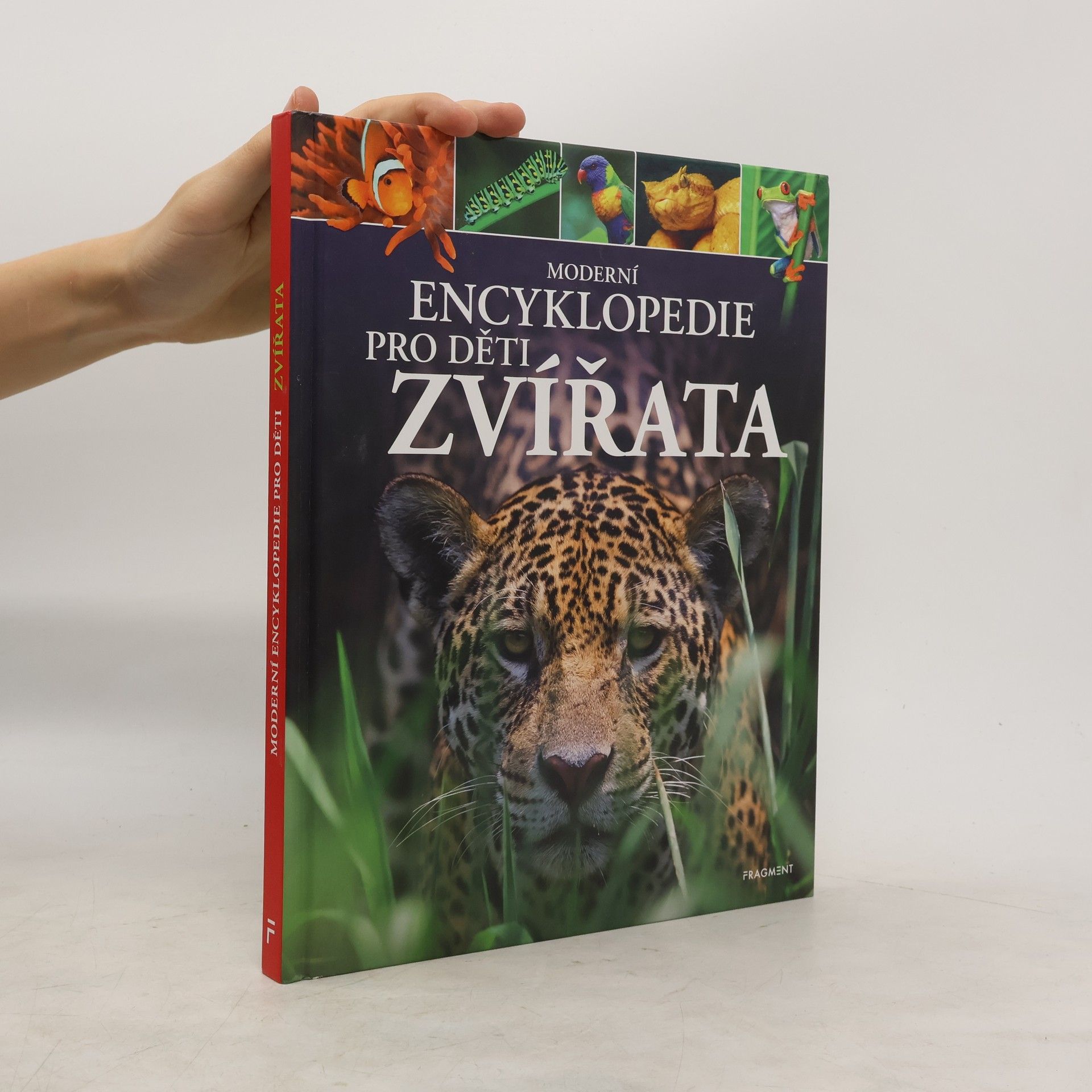 Michael Leach Zvířata: moderní encyklopedie pro děti