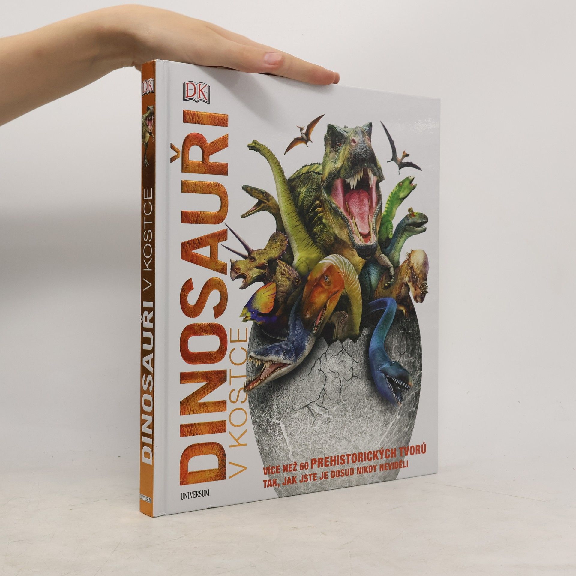 Collectif d'auteurs Dinosauři v kostce