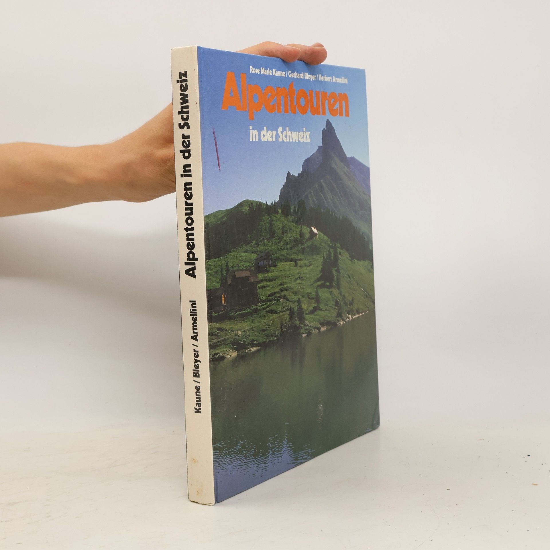 Rose Marie Bleyer Alpentouren in der Schweiz