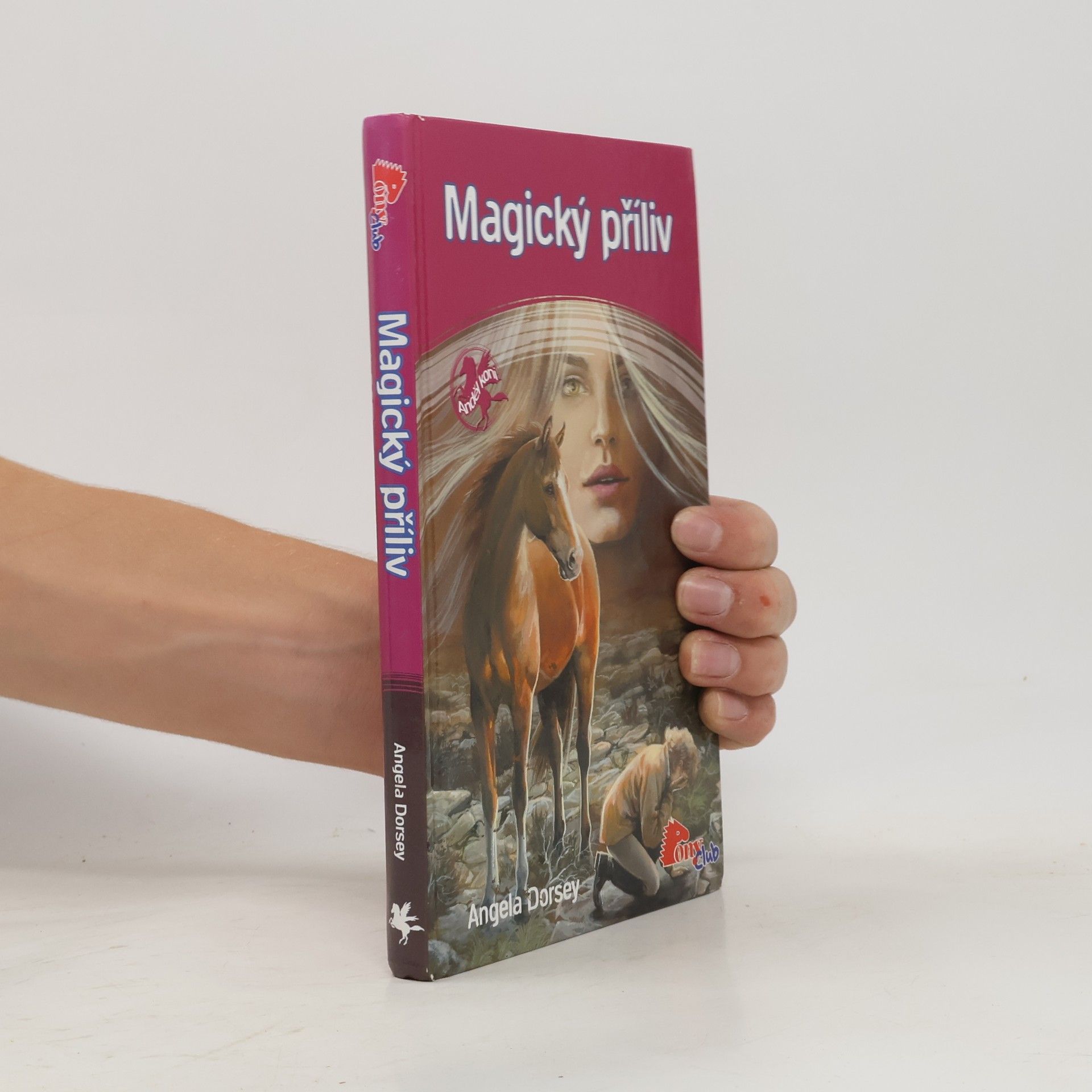 Angela Dorsey Magický příliv