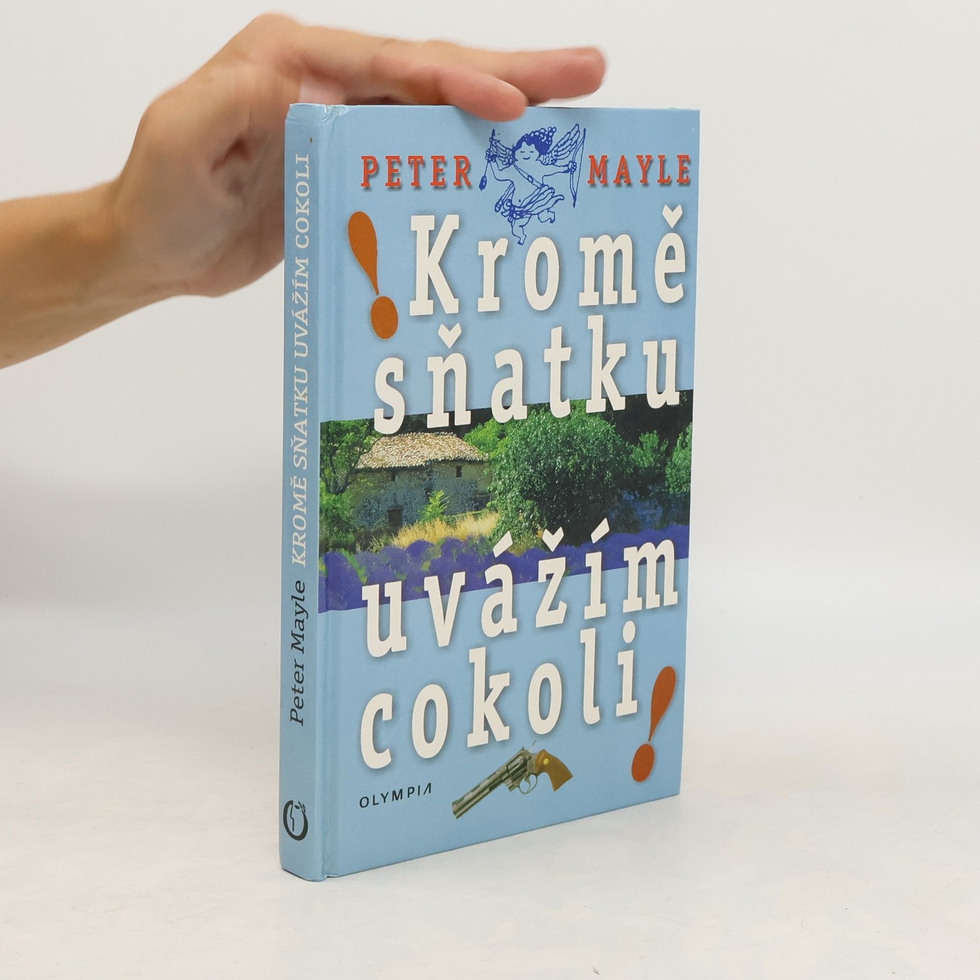 Peter Mayle Kromě sňatku uvážím cokoli!
