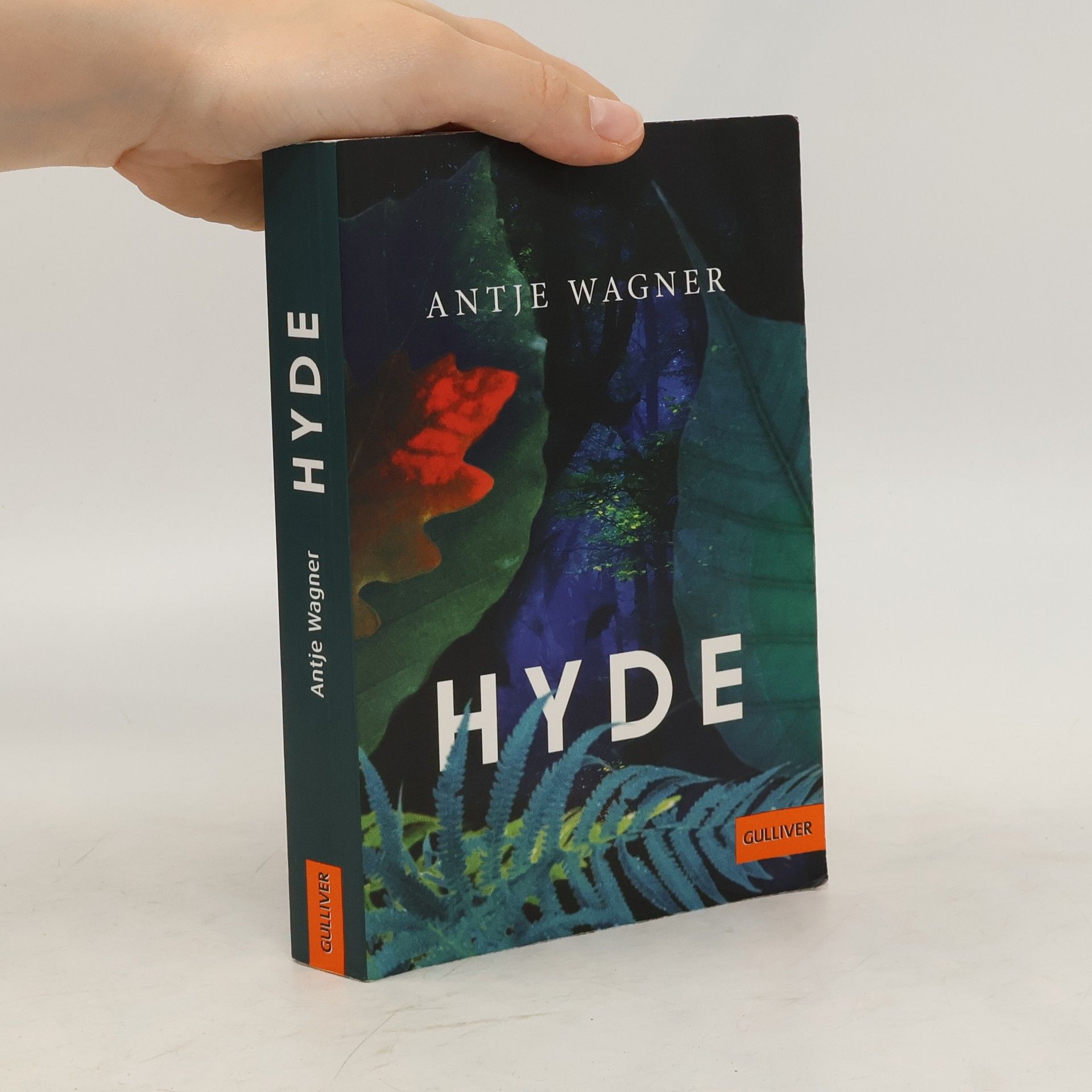 Antje Wagner Hyde