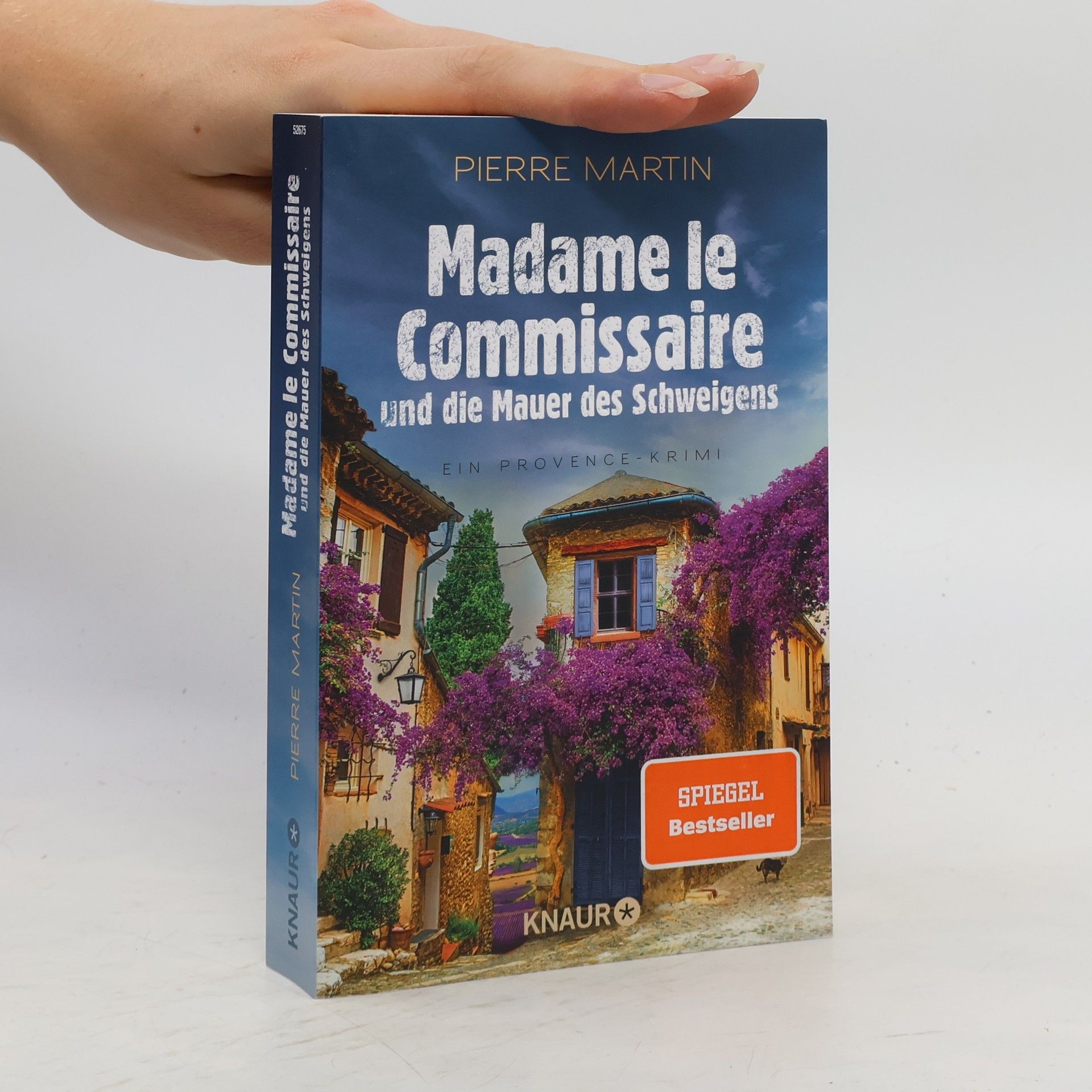 Pierre Martin Madame le Commissaire und die Mauer des Schweigens