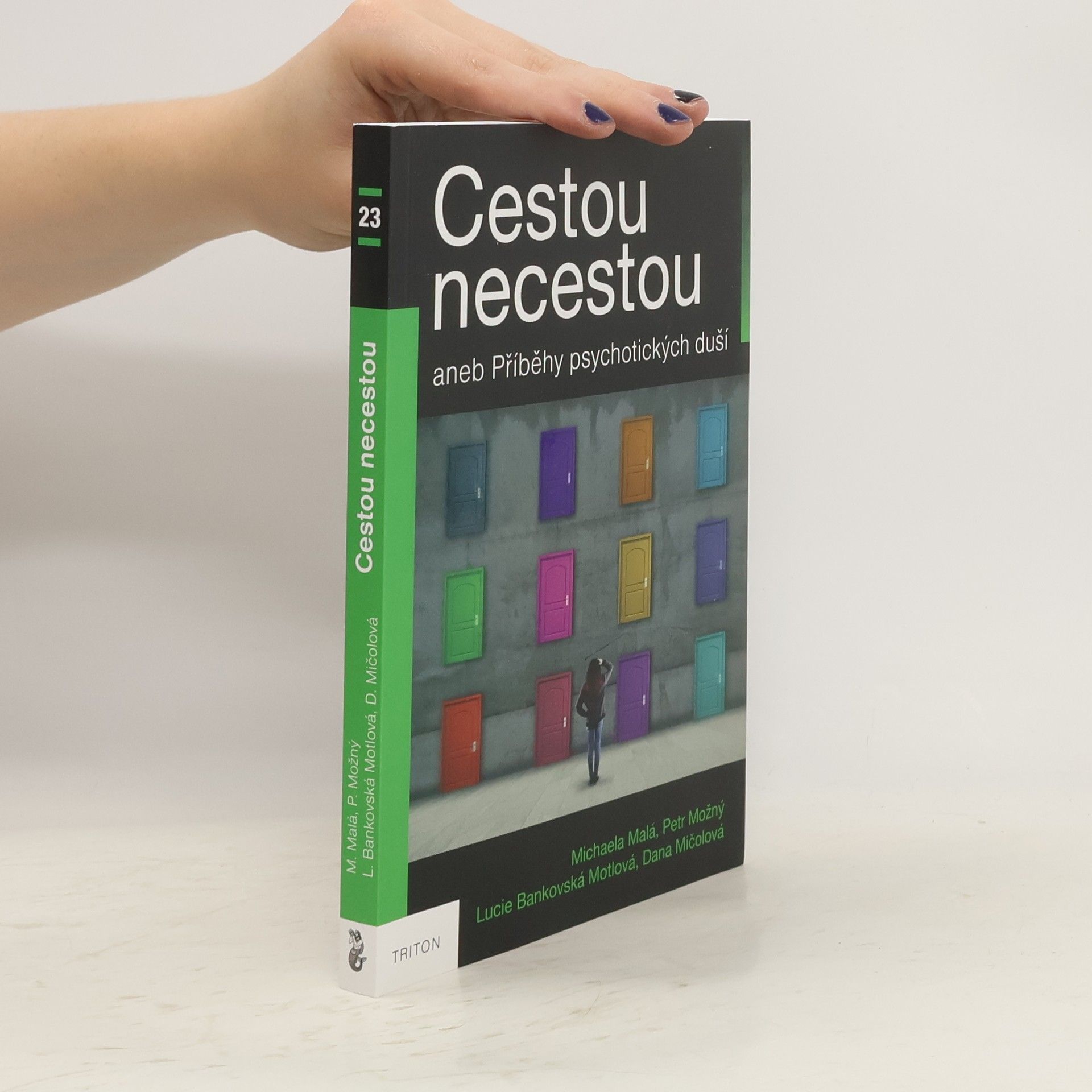Petr Možný Cestou necestou aneb Příběhy psychotických duší