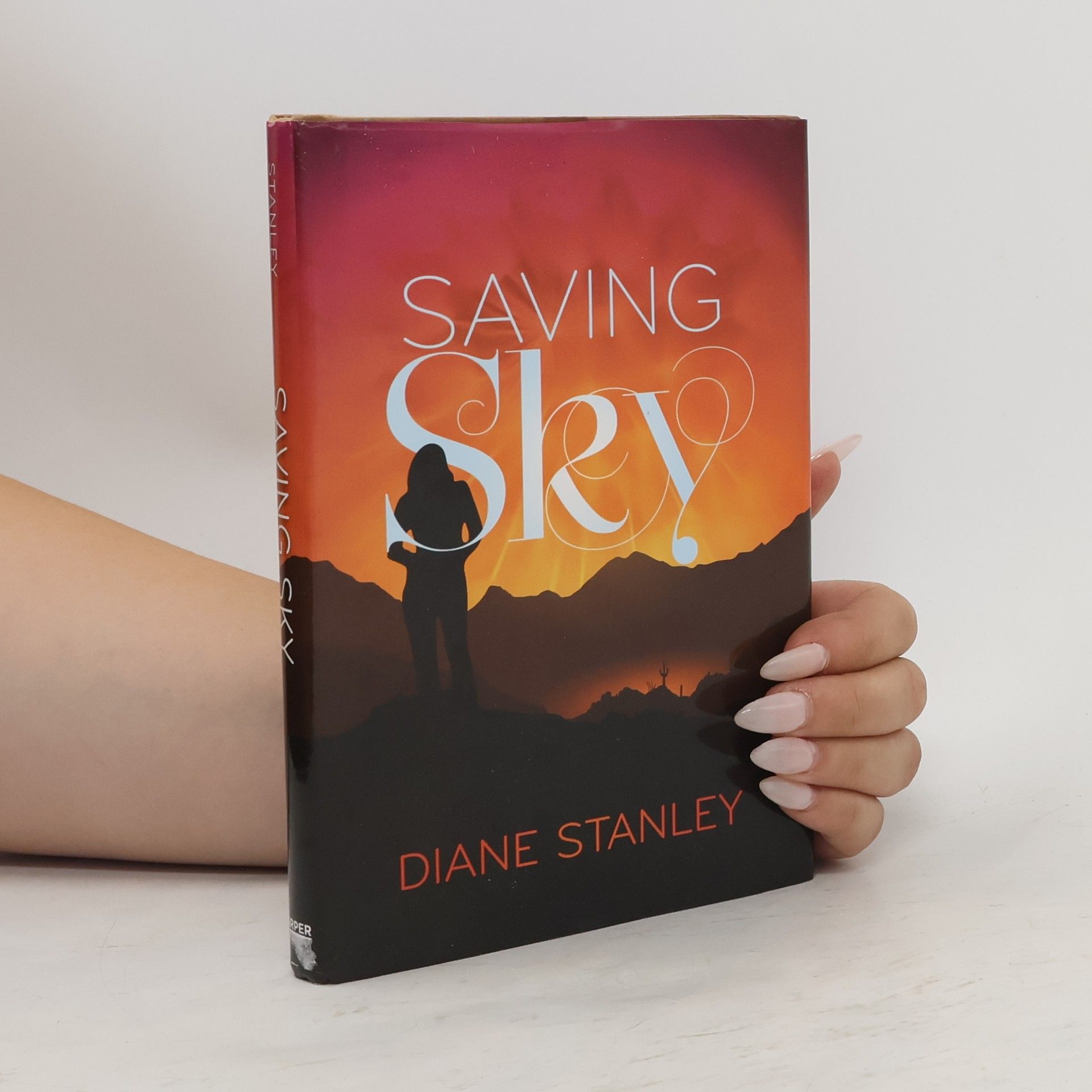 Diane Stanley Saving Sky